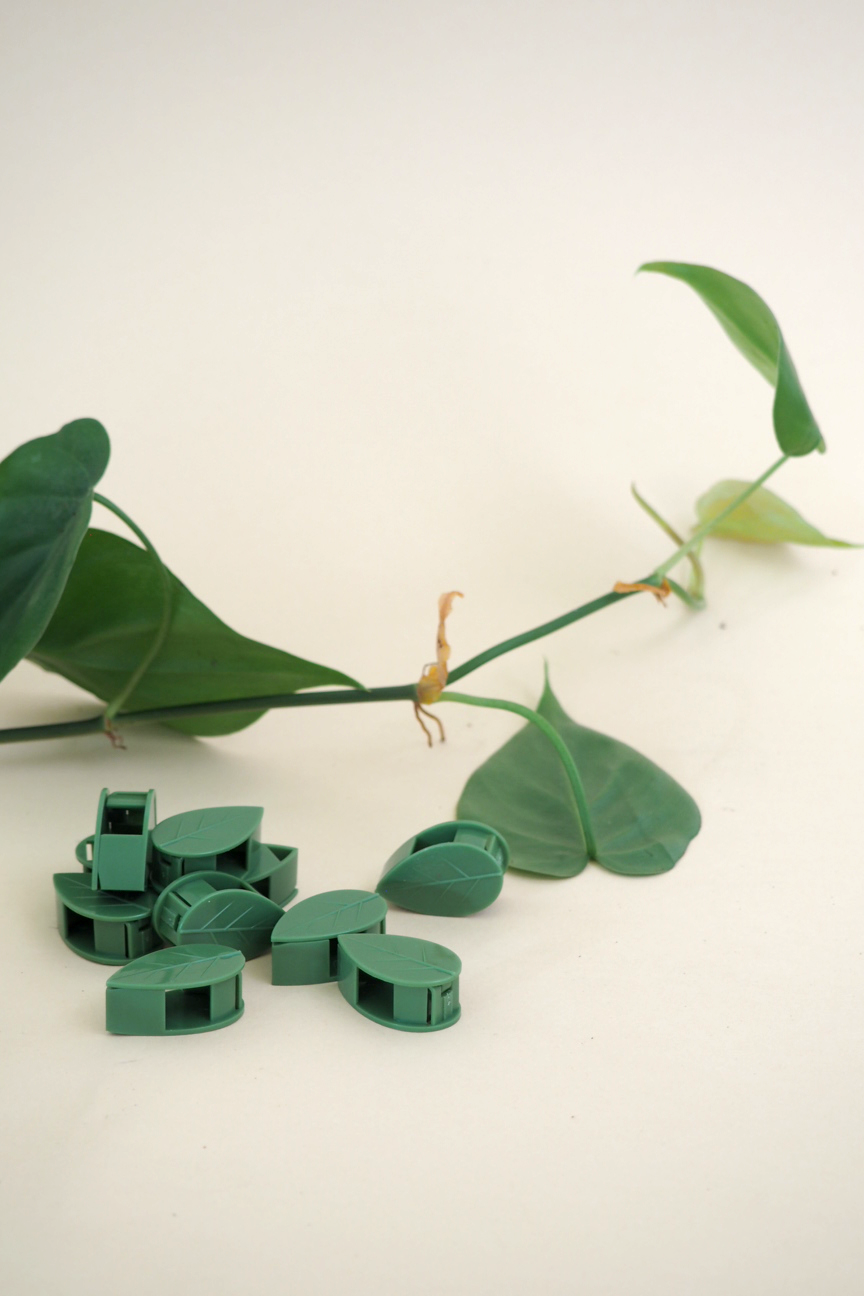 Leafy clips