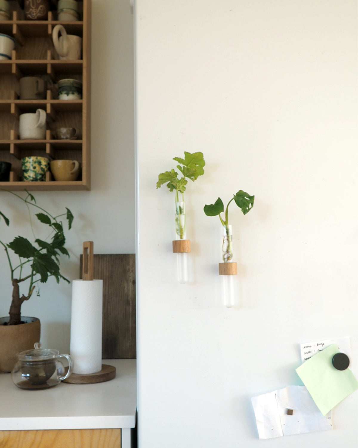 Magnet - stiklingeholder