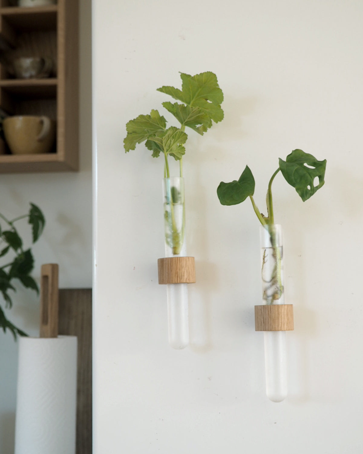 Magnet - stiklingeholder