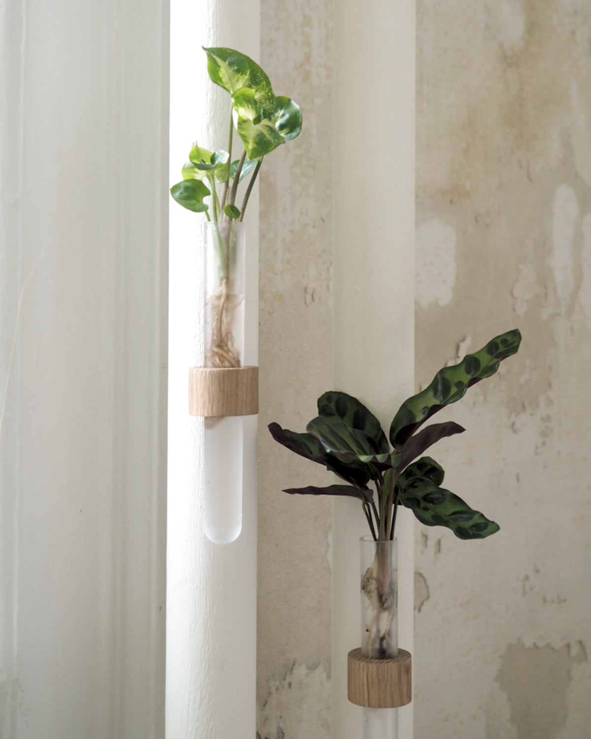 Magnet - stiklingeholder