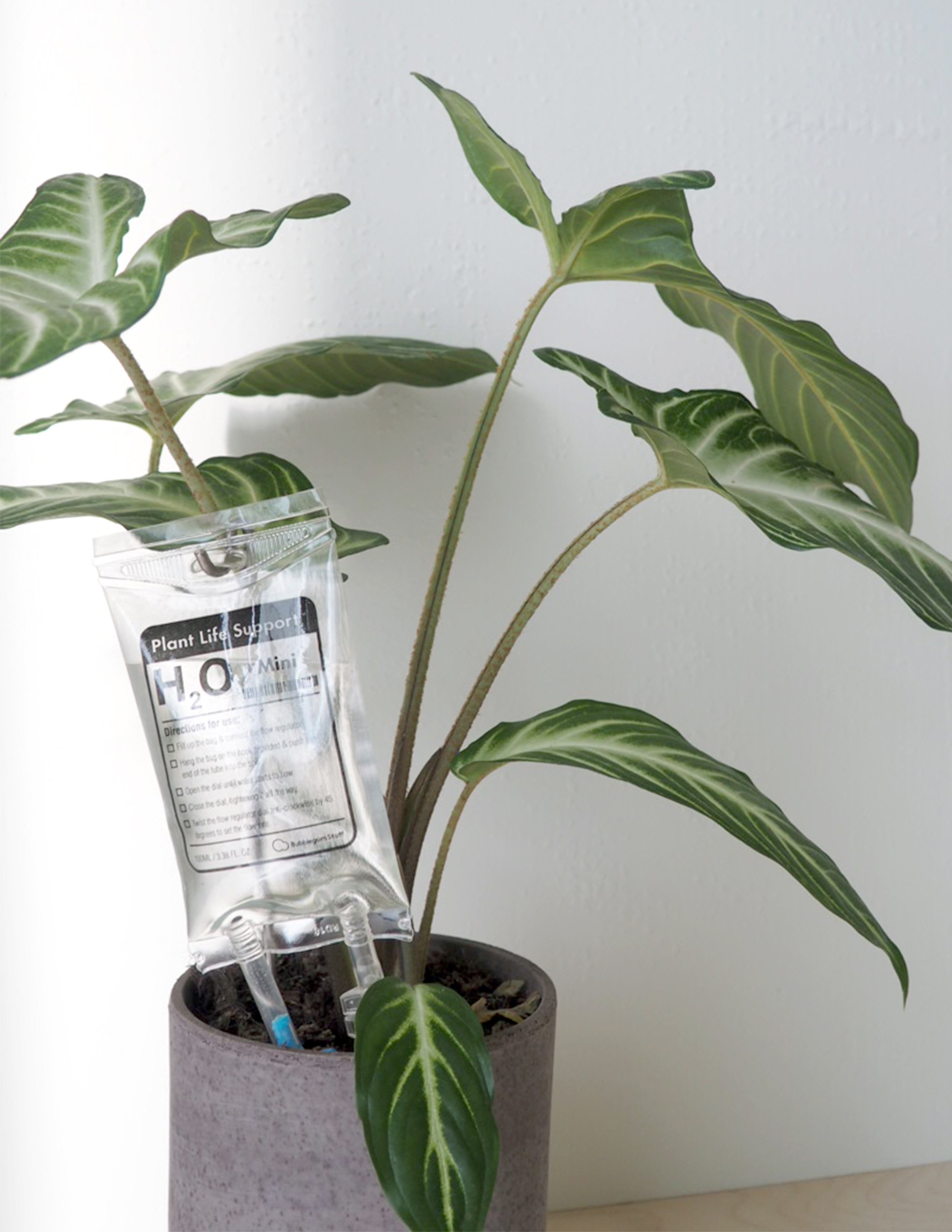 Selvvandende Plant Life support, lille