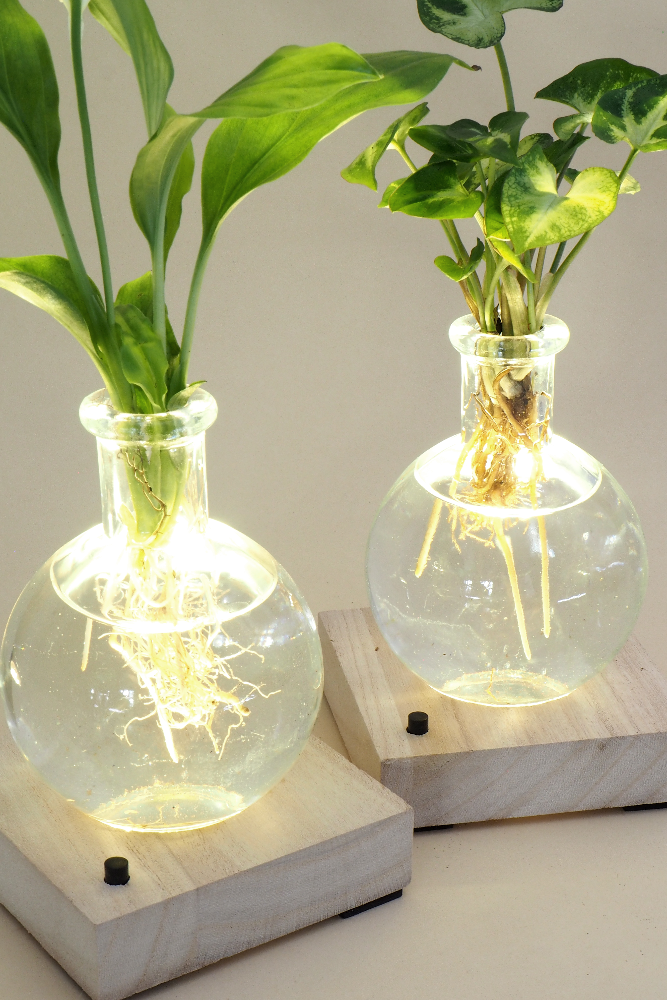 Plantelampe