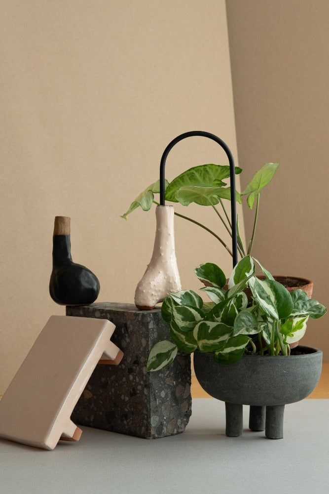 Plantstraws selvvander