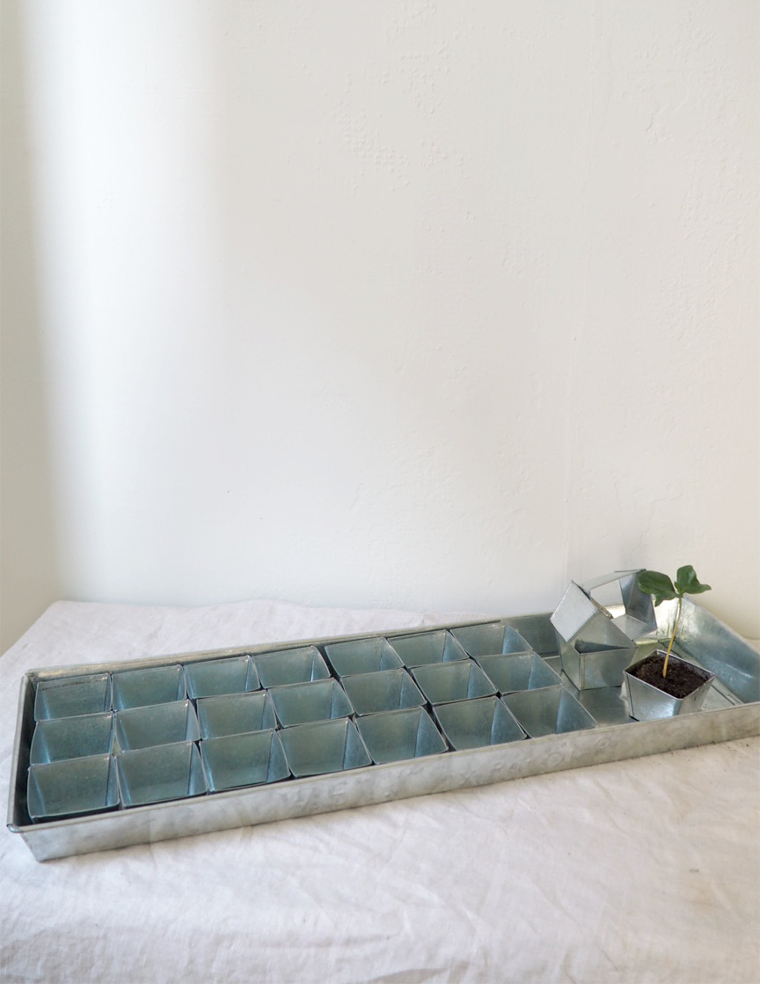 Forspiringsbakke - W.E.T Seed Pot30