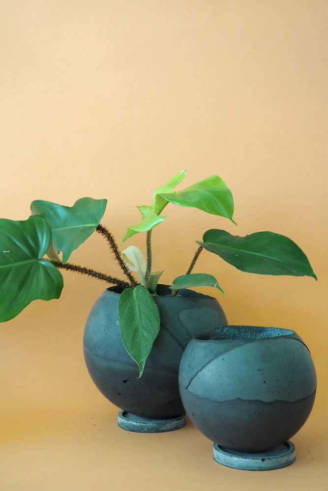 Dirty Roots - Tau Ceti