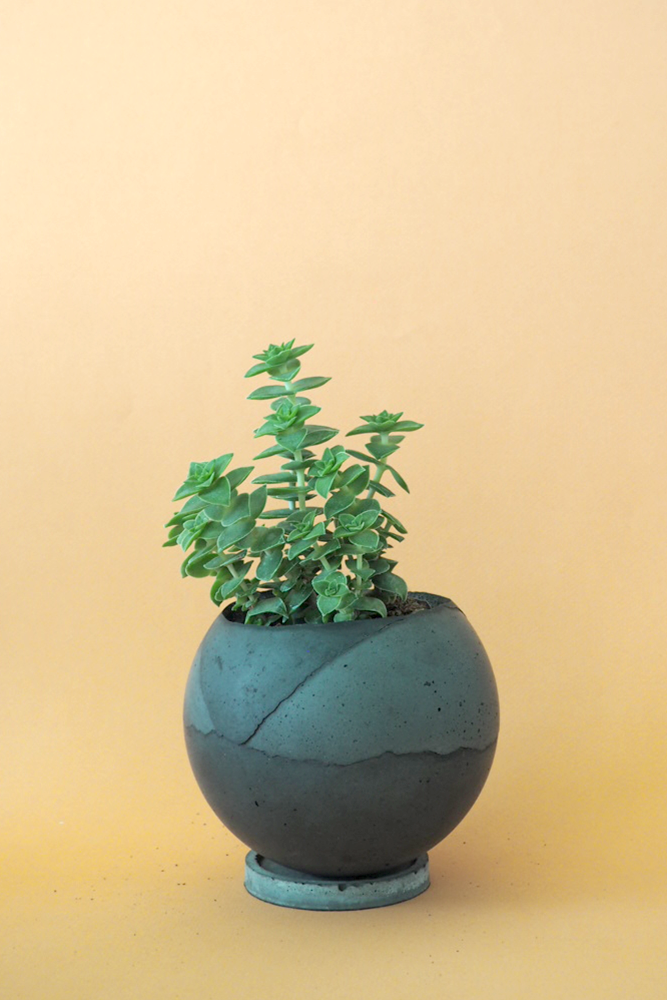 Dirty Roots - Tau Ceti