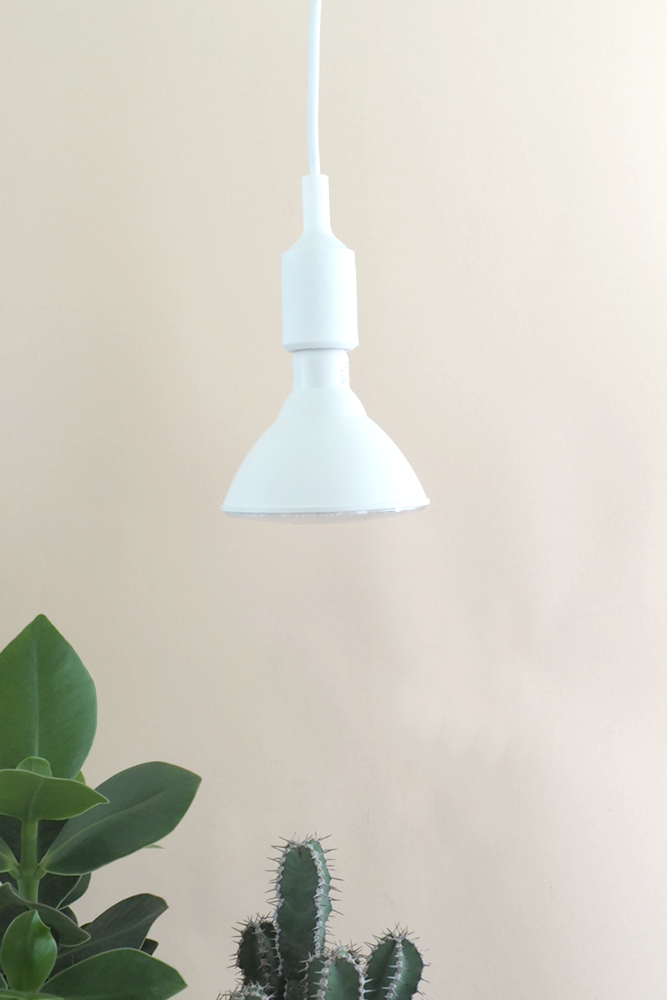 Vækstpære fuld spektrum