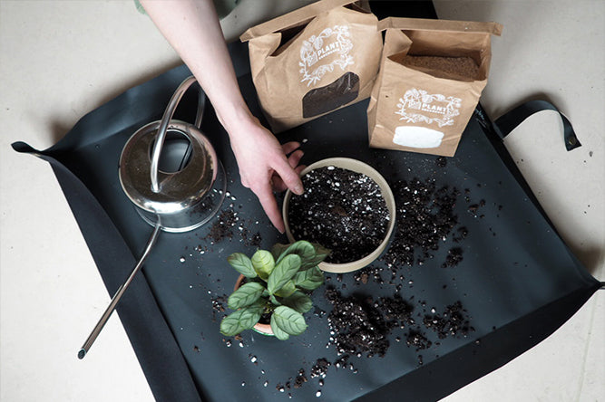 Bliv klar til en ny vækstsæson med disse 4 råd