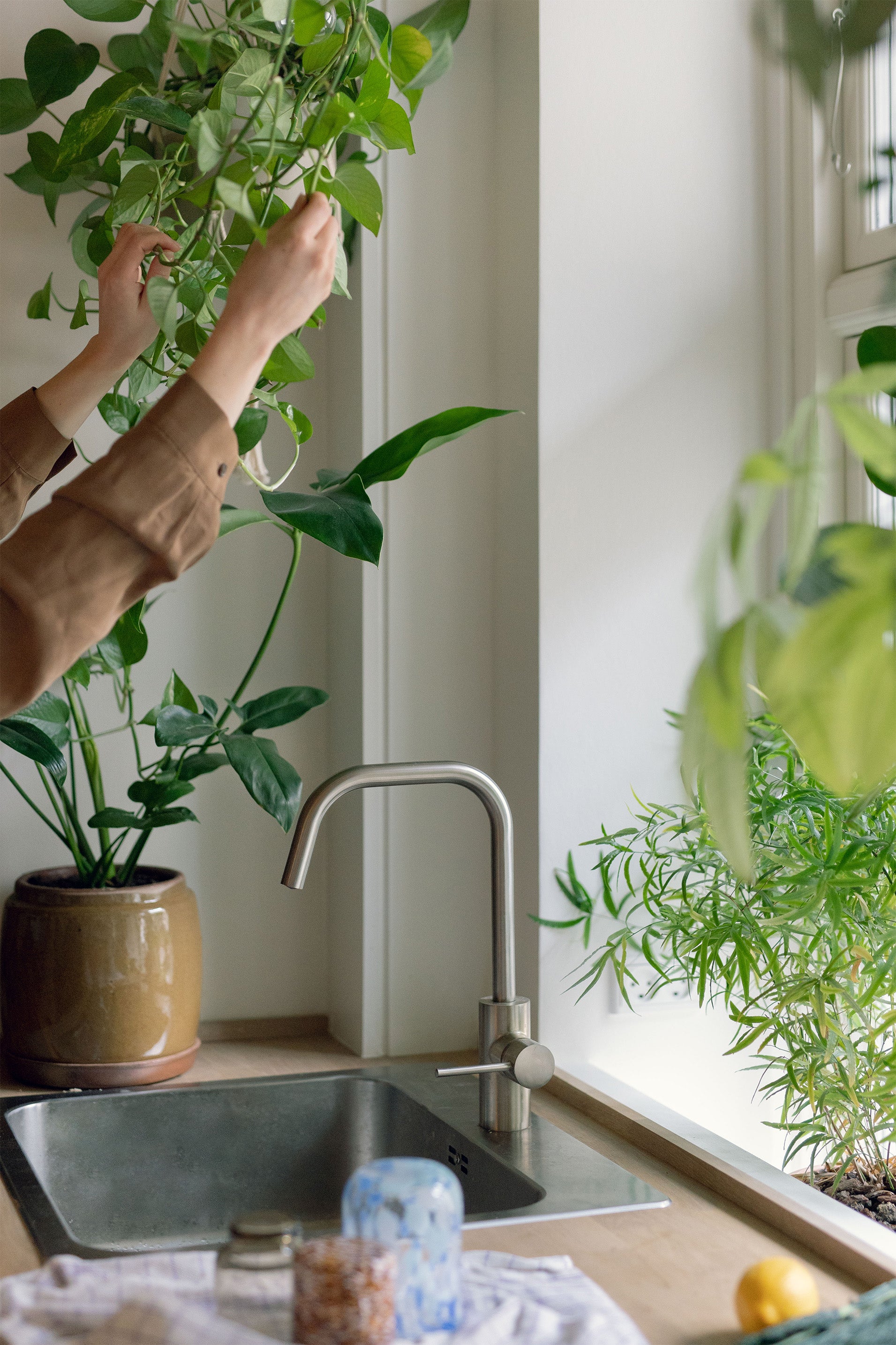 Bæredygtig vanding: Gør dine grønne stueplanter glade med miljøvenlige husmodertricks