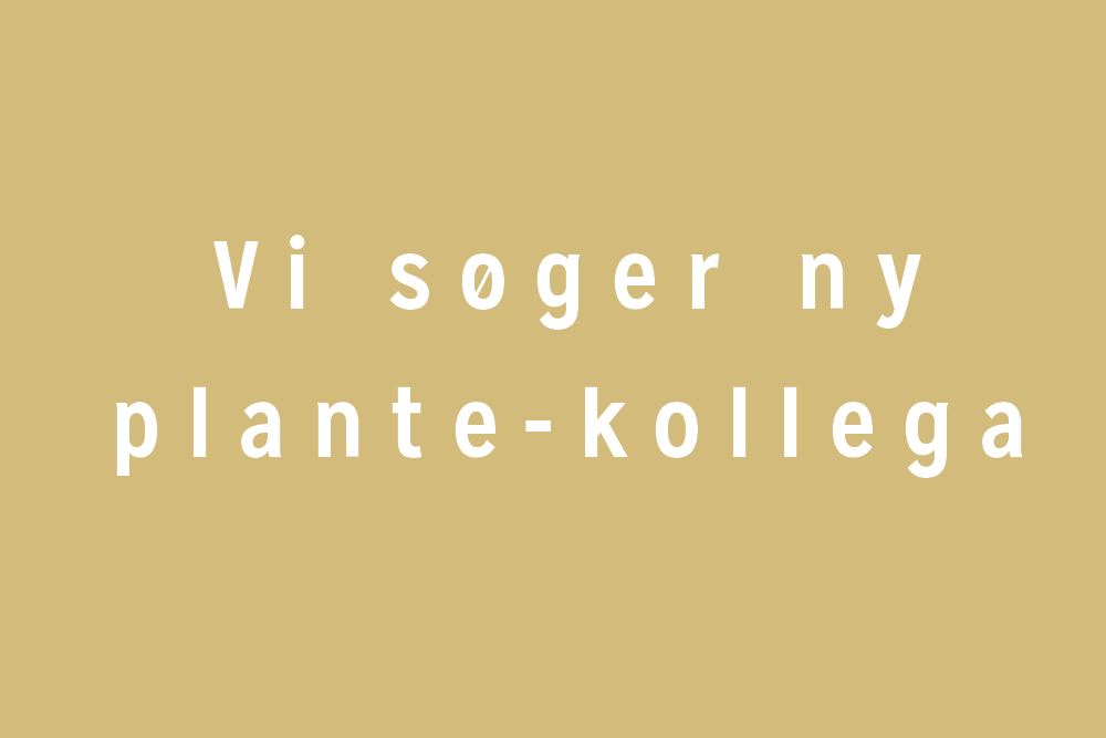 Vi søger ny plante-kollega