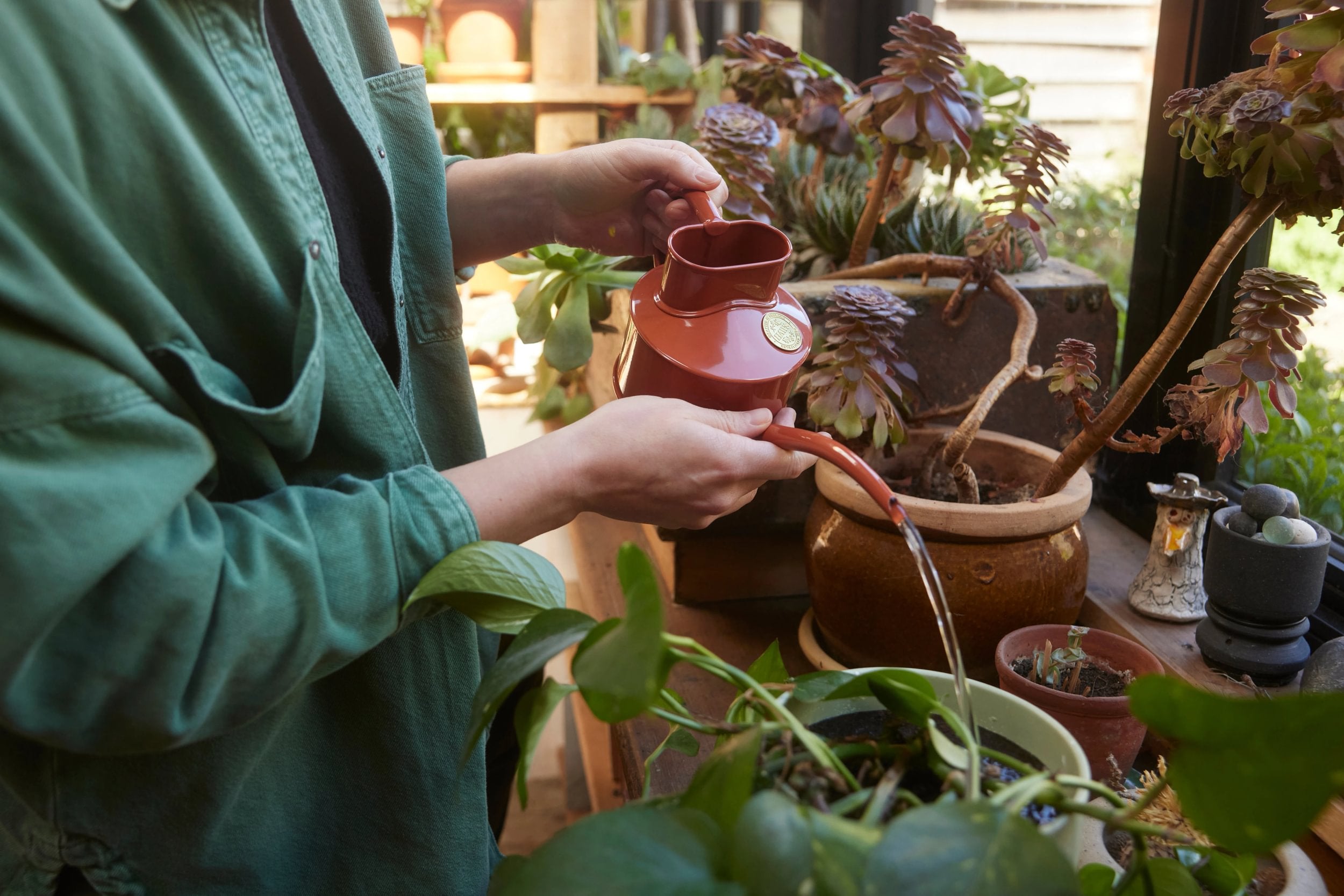 HAWS Vandkande, terracotta orange, 0,5 L