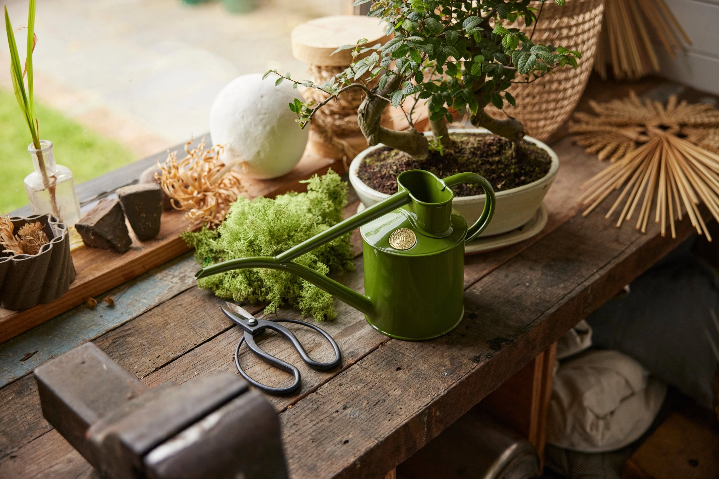 HAWS Vandkande, fern green, 1 L