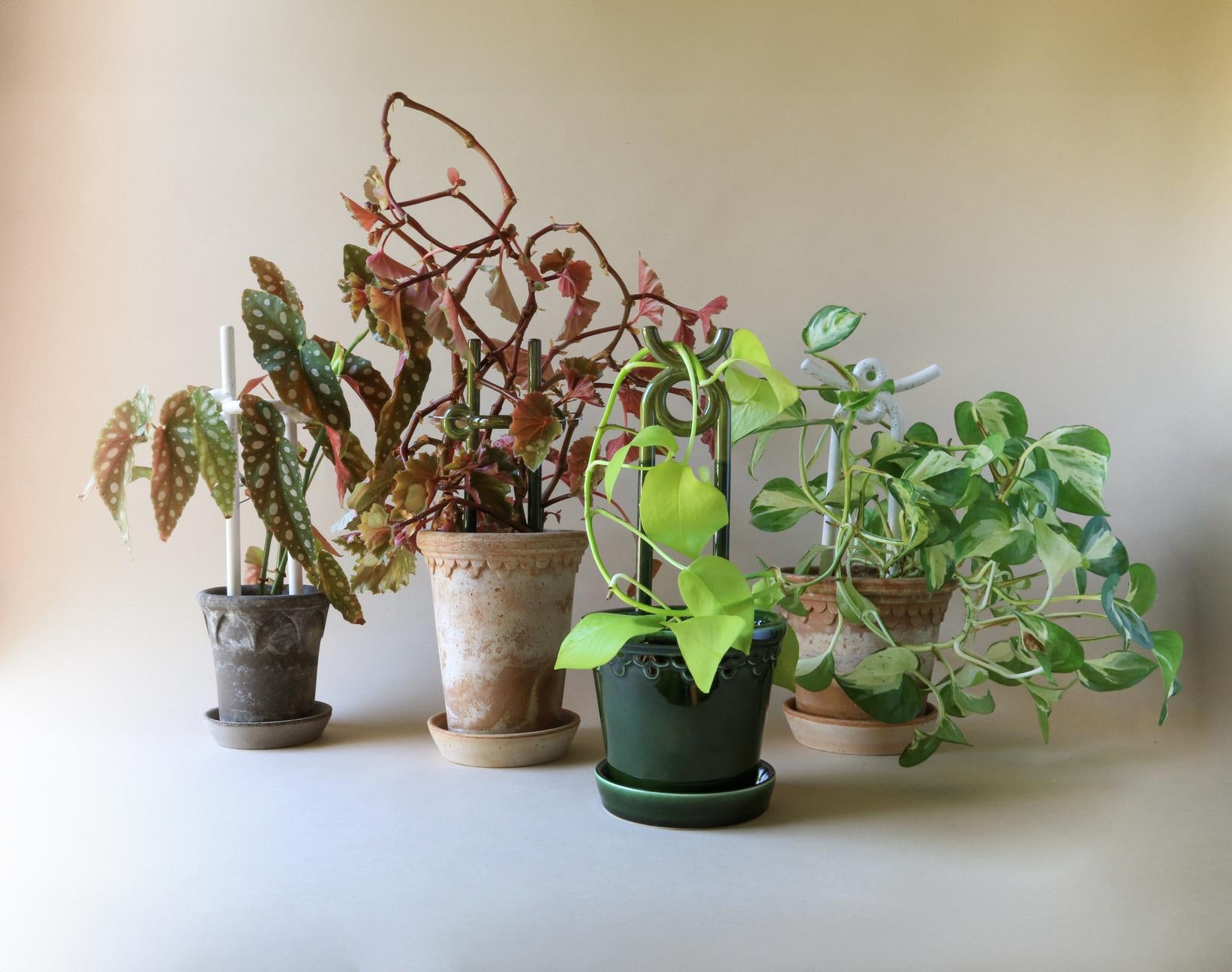 FOLK oni plantestøtte, grøn