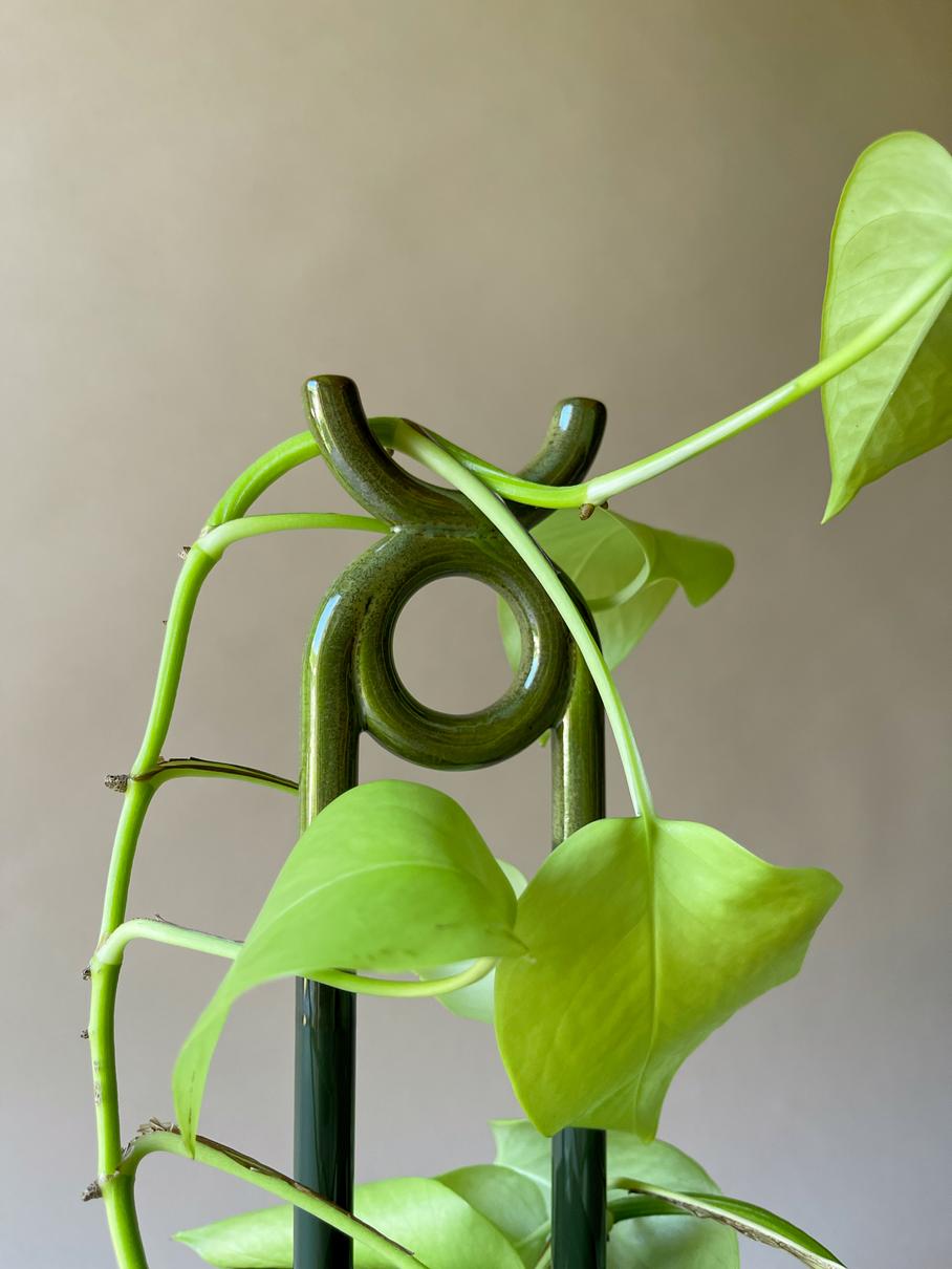 FOLK oni plantestøtte, grøn