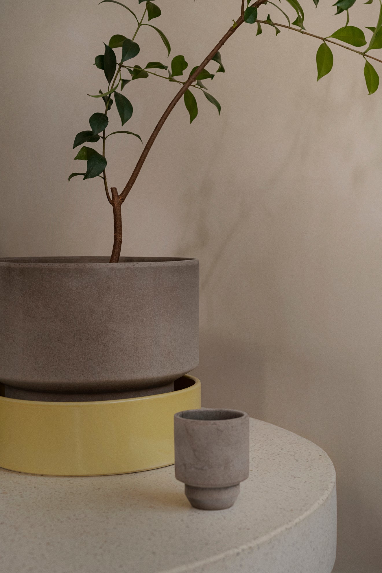 Hoff underskål, glaseret Pale Yellow