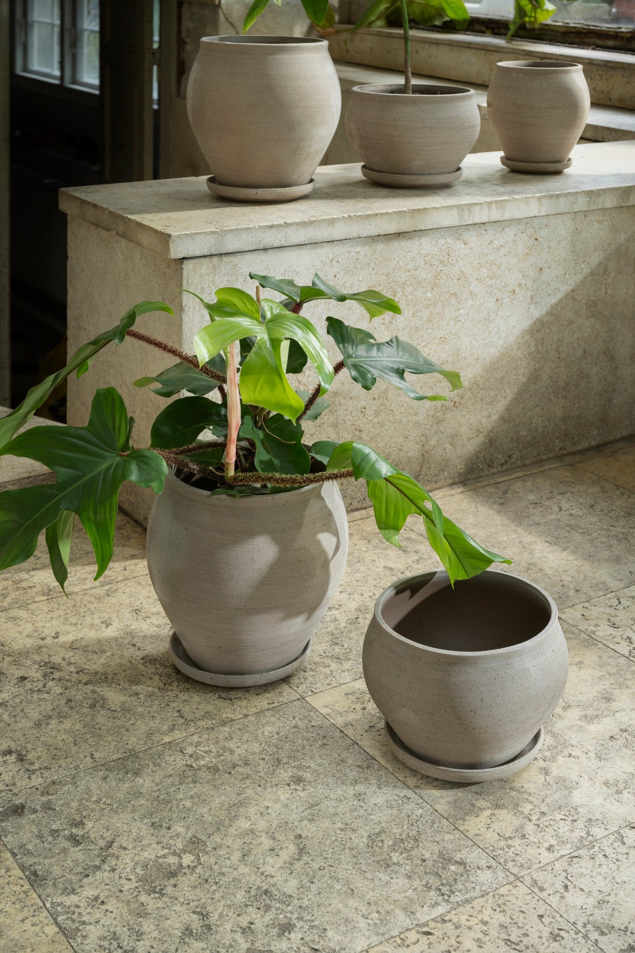 Delphi krukke, Raw Grey