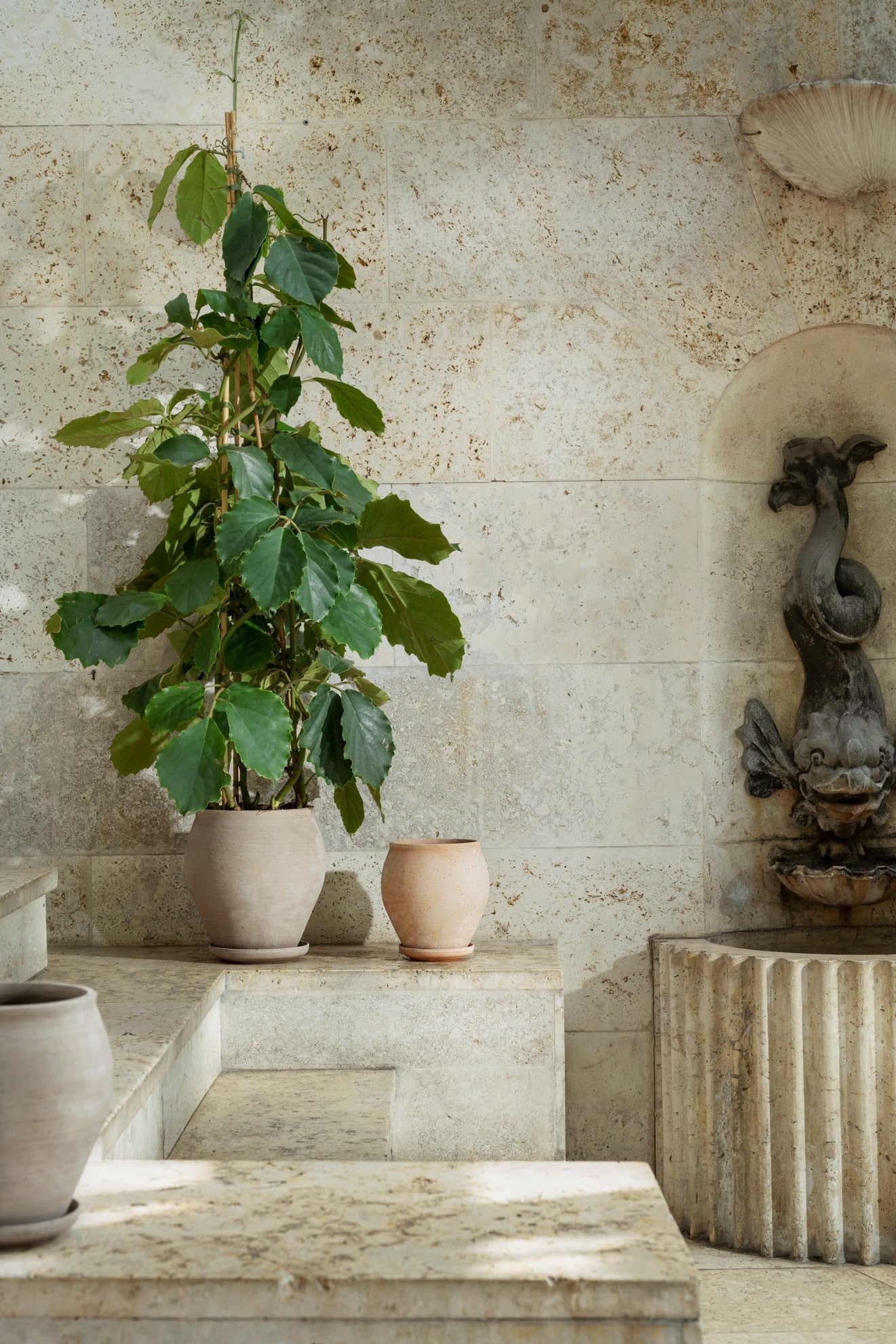 Delphi krukke, Raw Grey