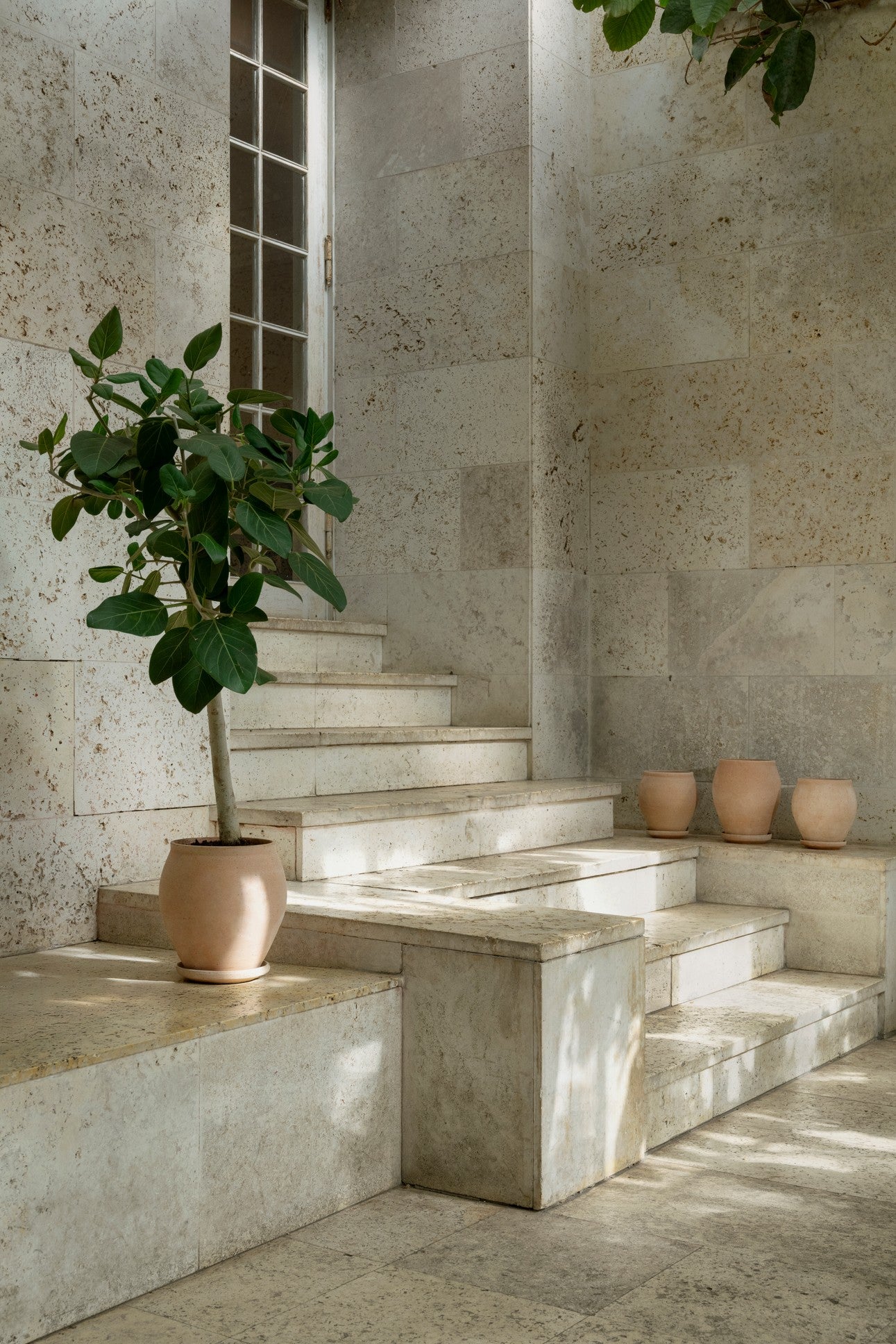 Delphi krukke, Raw Rosa