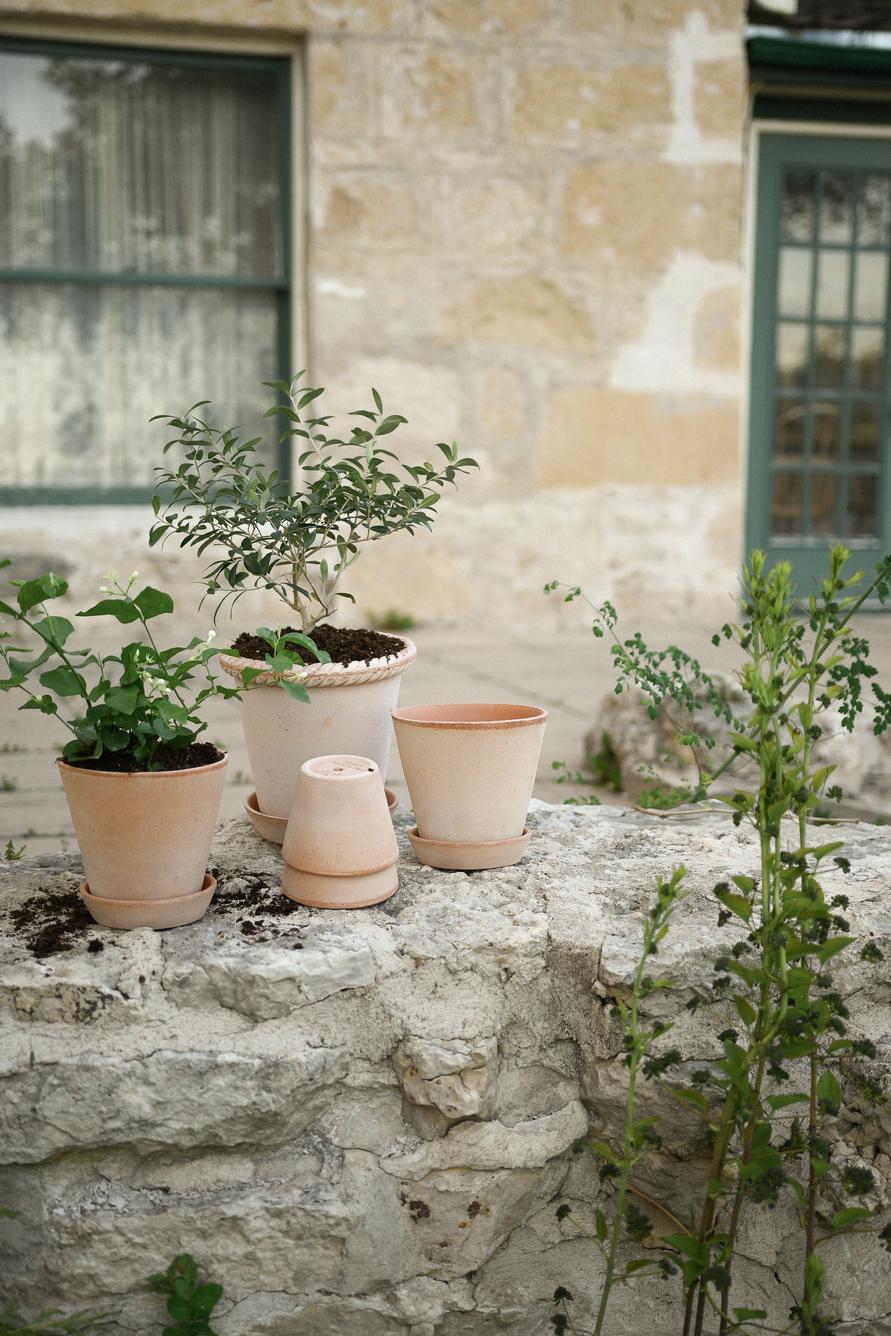 Emilia krukke, raw rosa