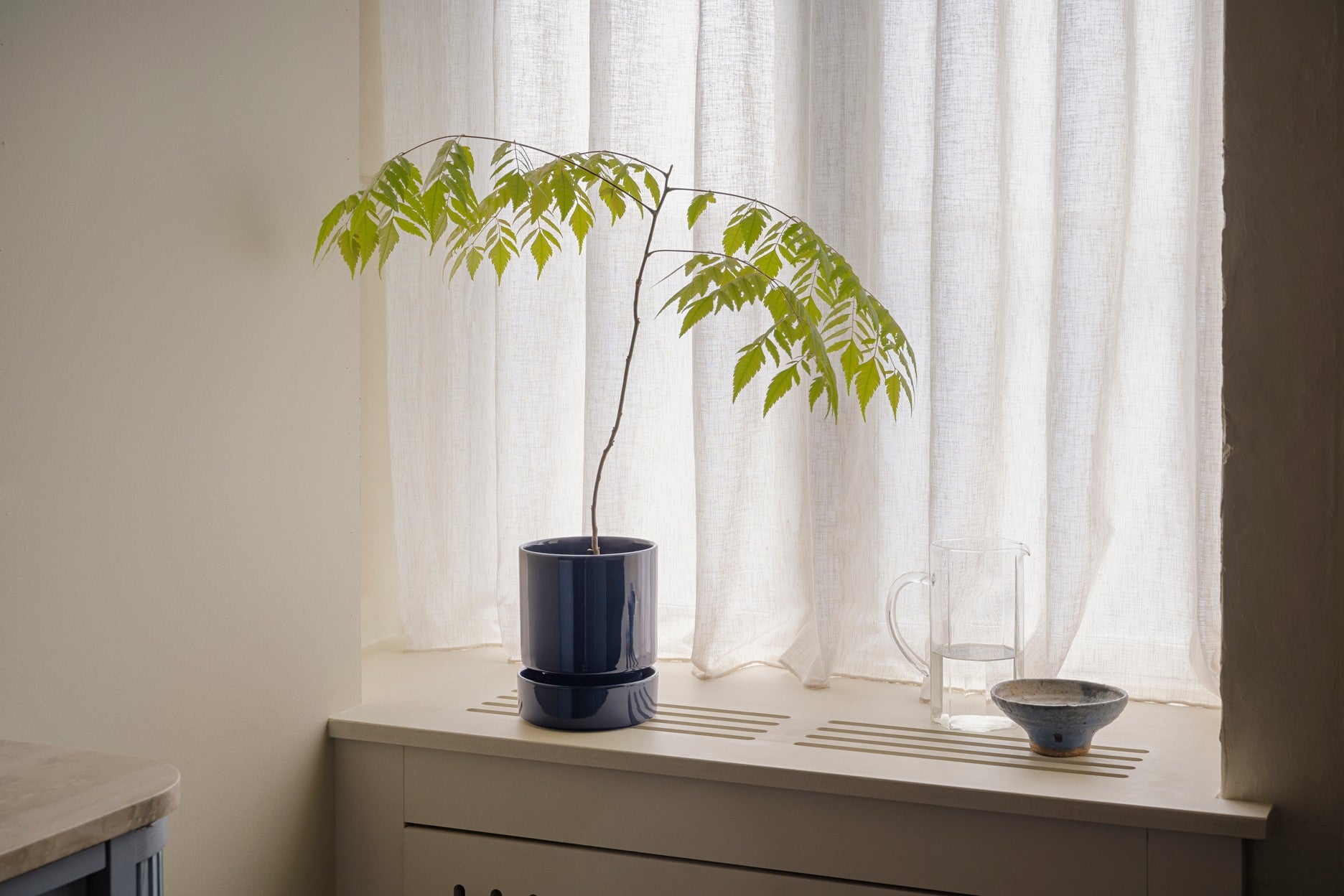 Hoff krukke, Sapphire Blue