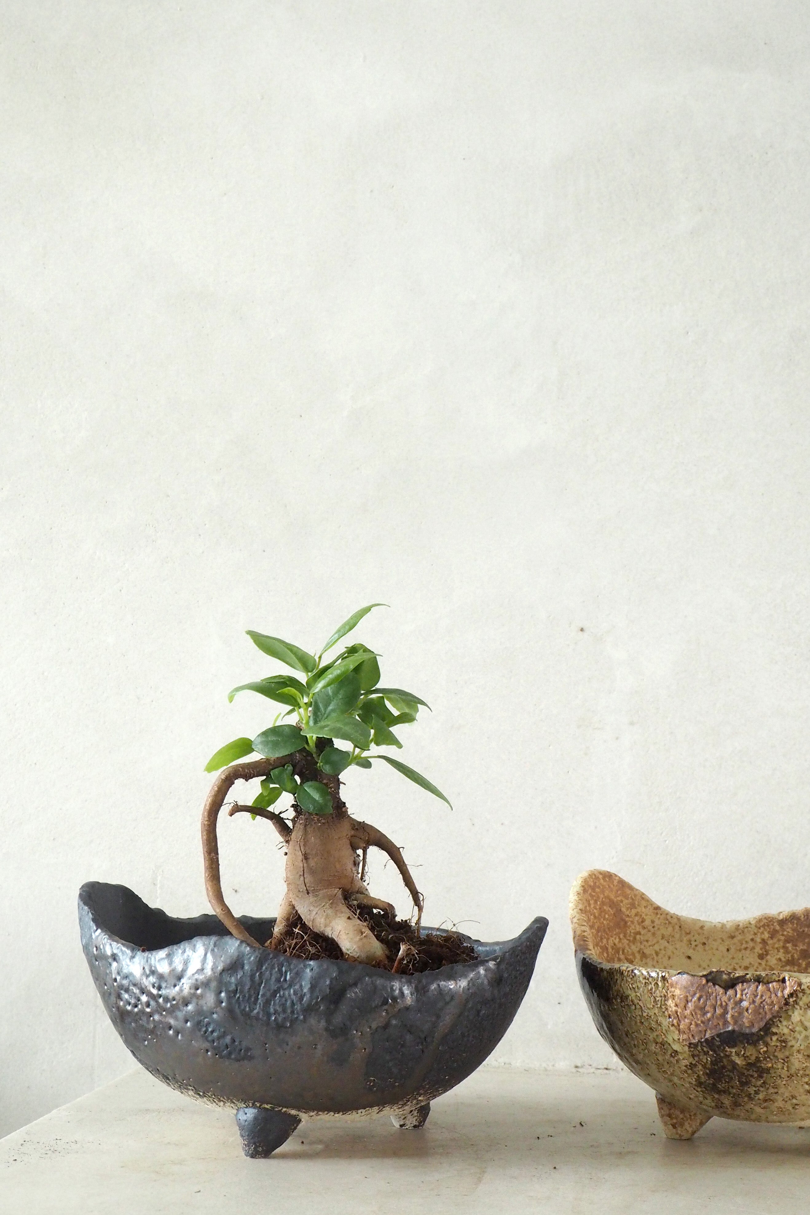 Japansk bonsai krukke, håndlavet, brun