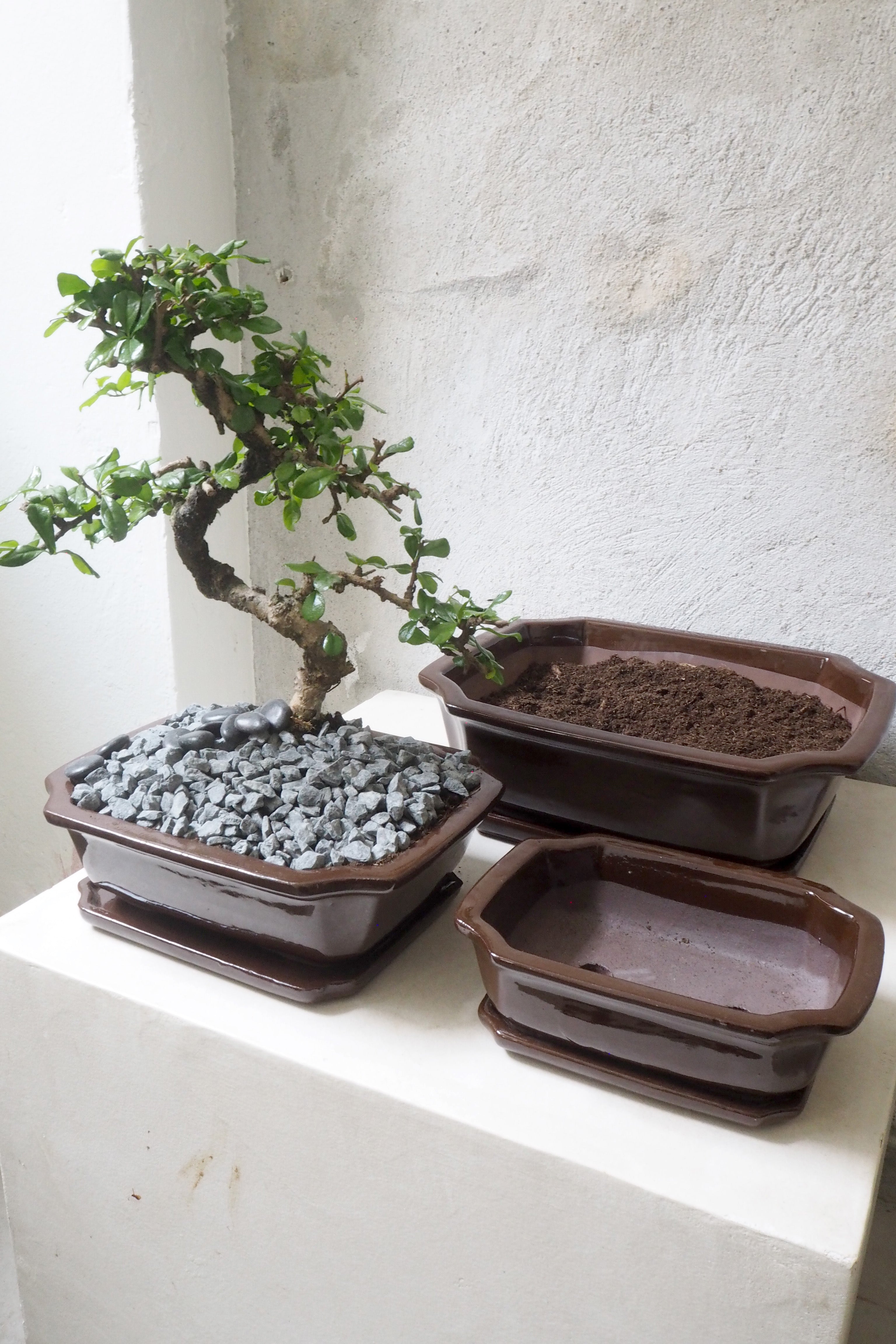 Bonsai krukke