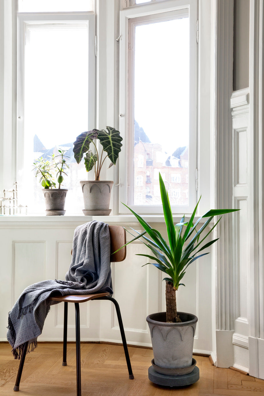 Rolling stones - rulleplade til gulvplanter