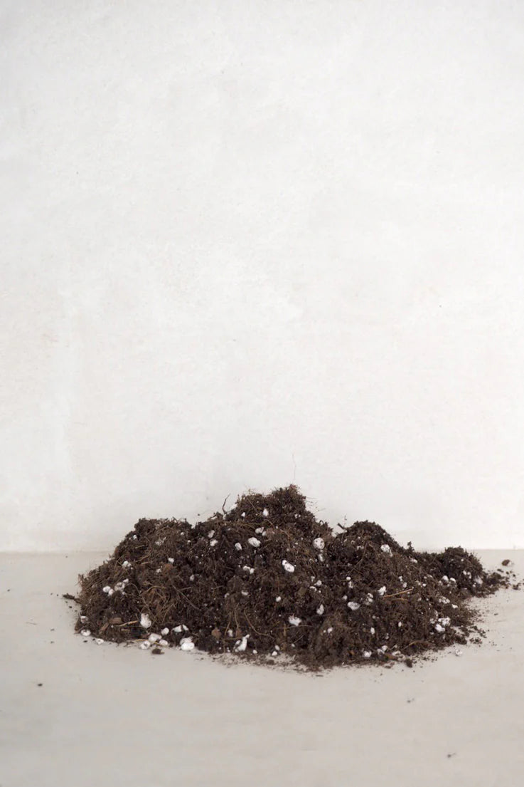 Bundle : Essential omplantning