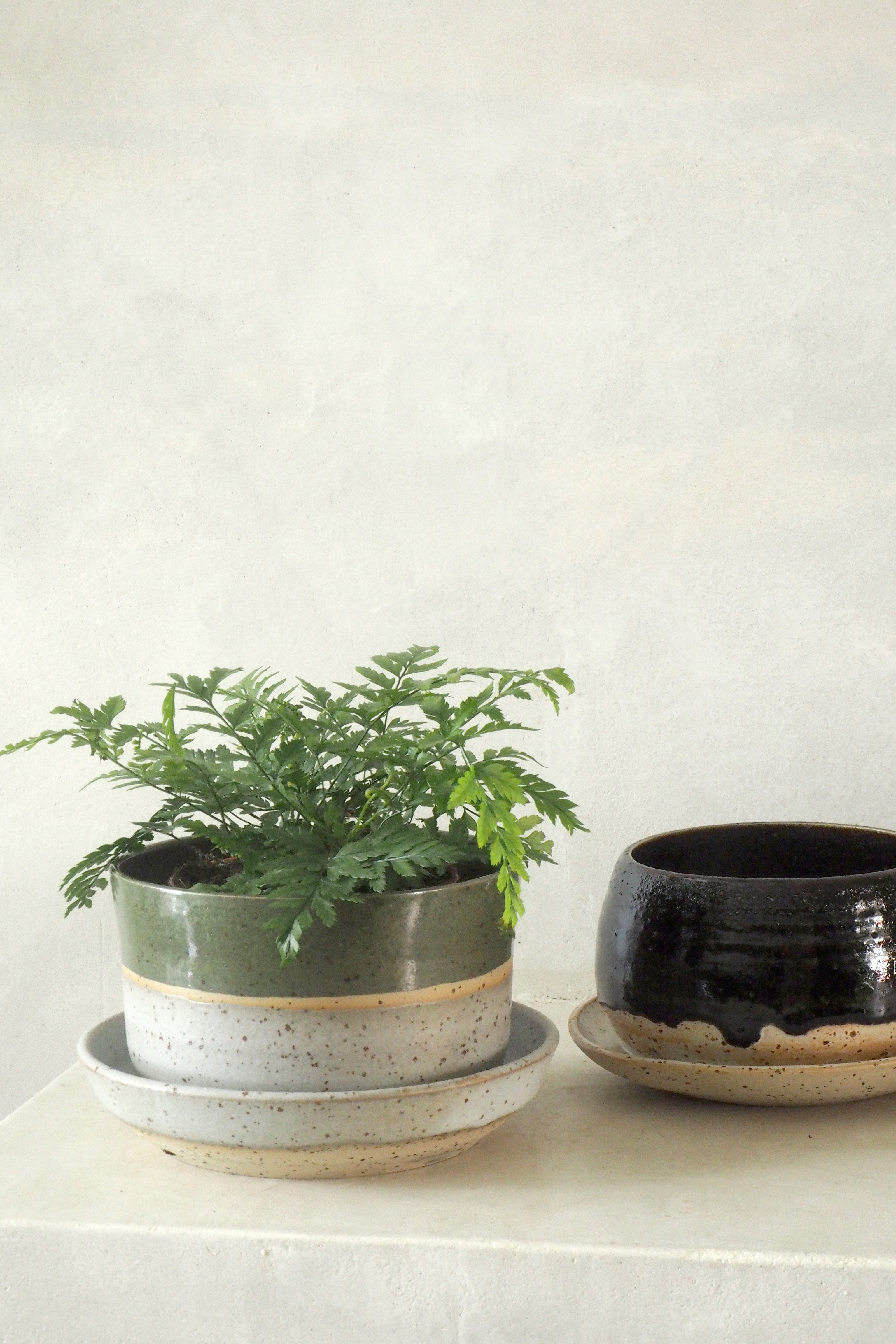 Nina Frigg medium no. 5