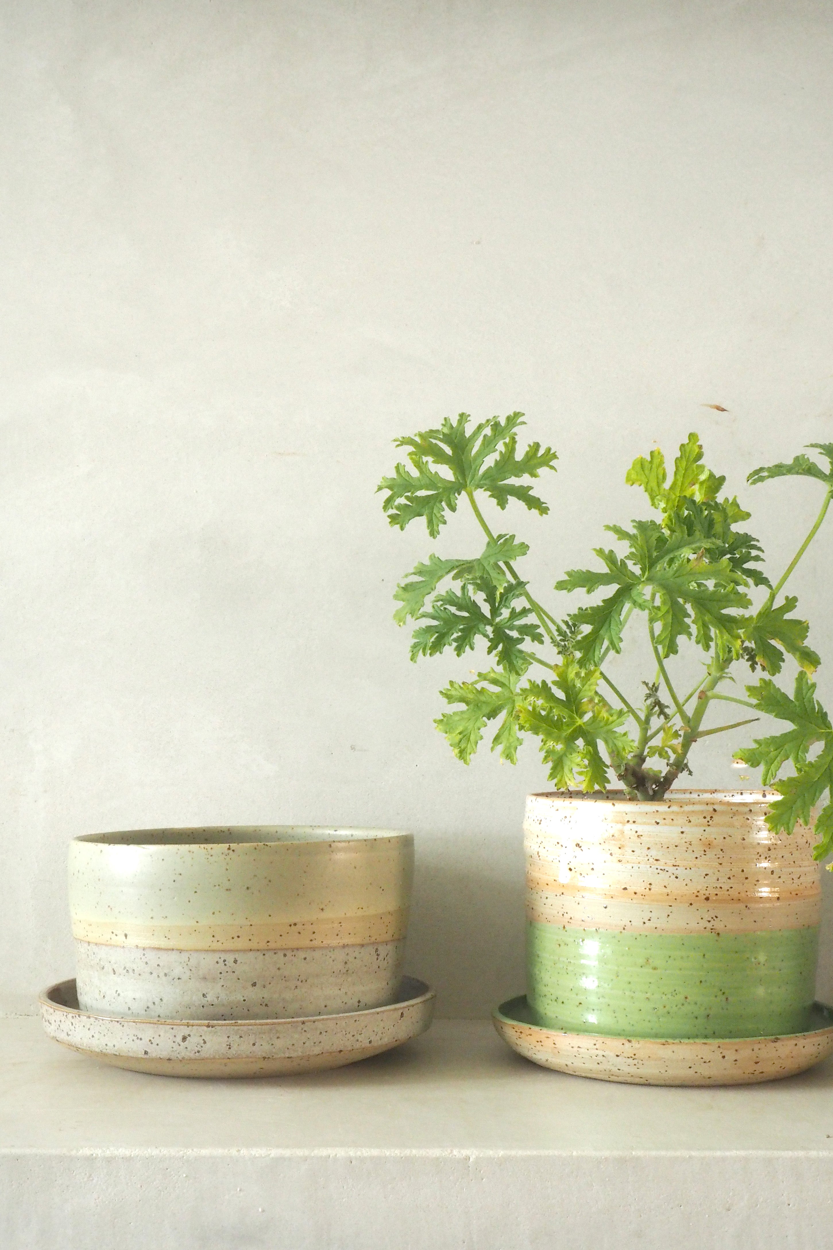 Nina Frigg stor no. 10