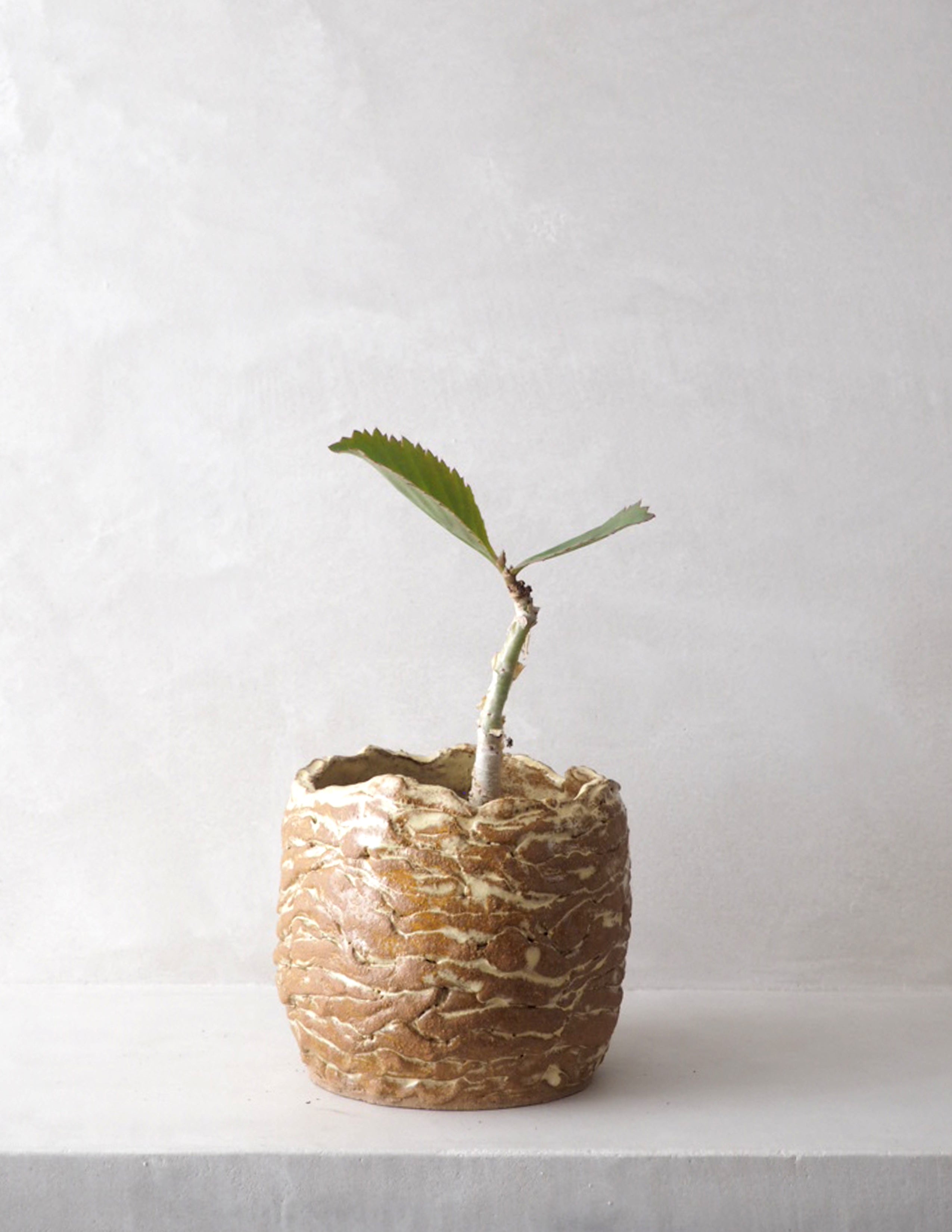 StineMei krukke - yellow