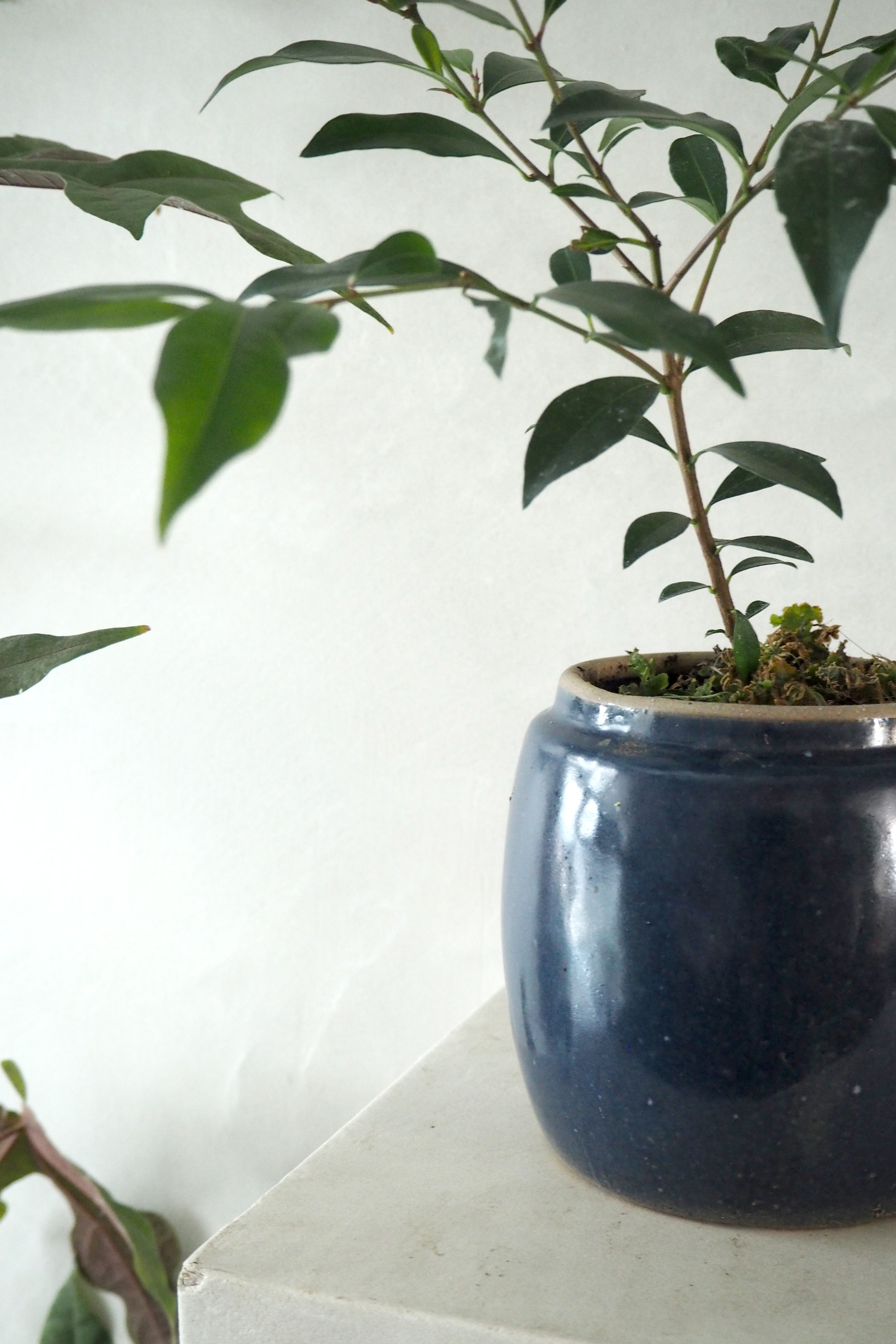 Berit, blå, ø12 cm