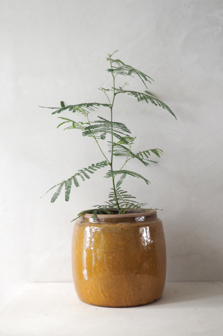 Berit krukken, mustard, ø 22 cm