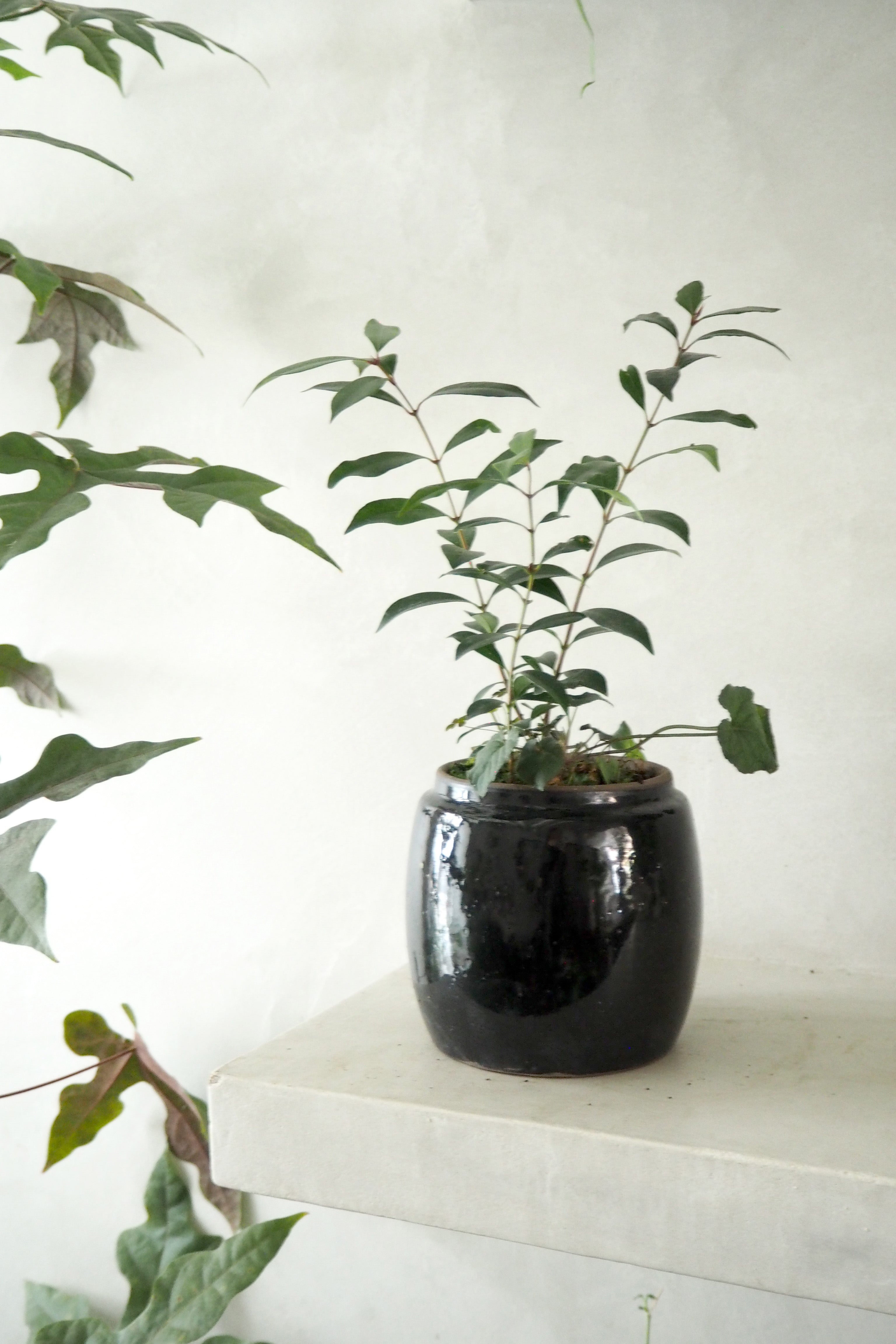 Berit, sort, ø12 cm