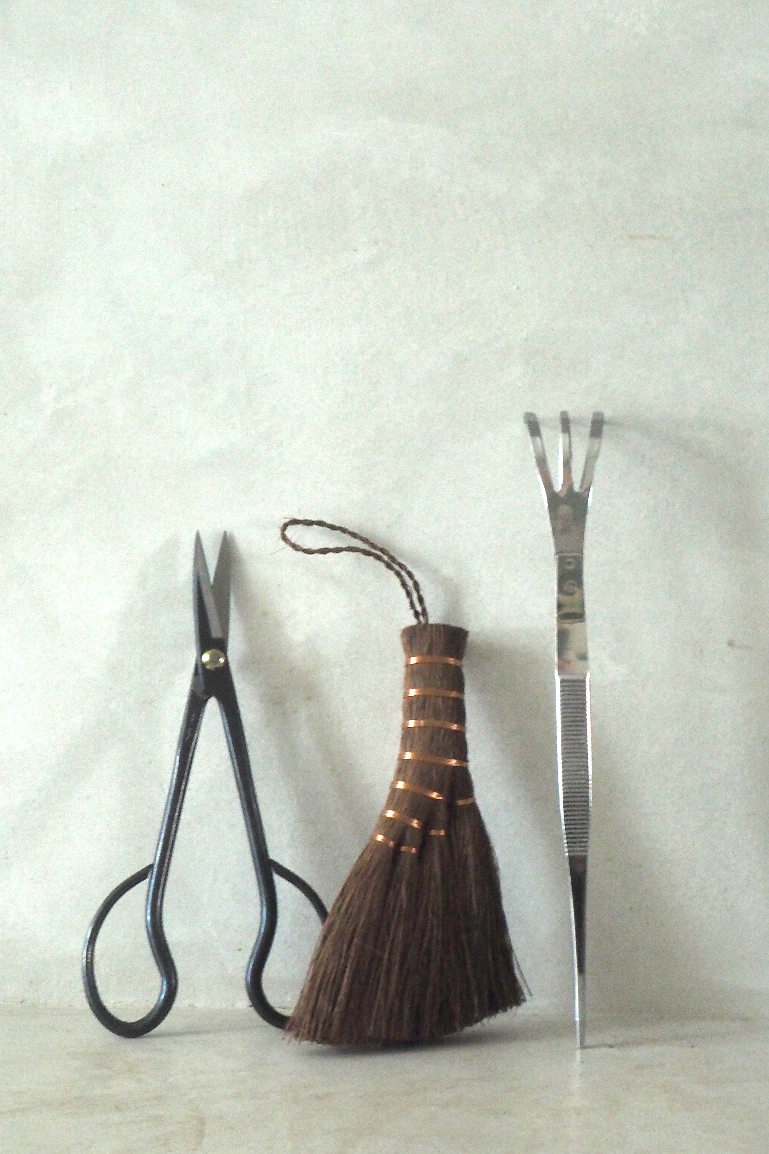 Pro Bonsai starter kit