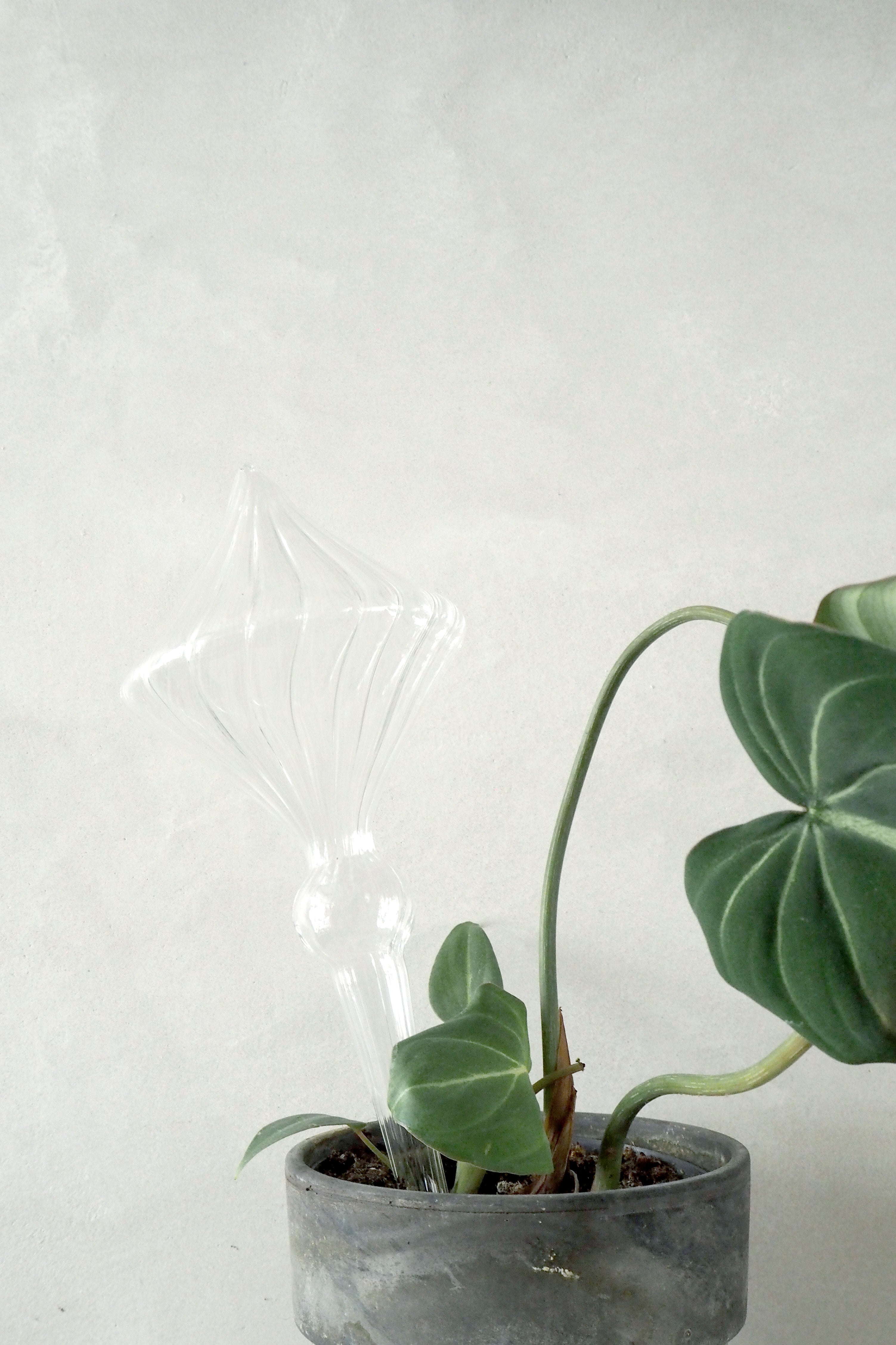 Selvvandingsglas, diamond