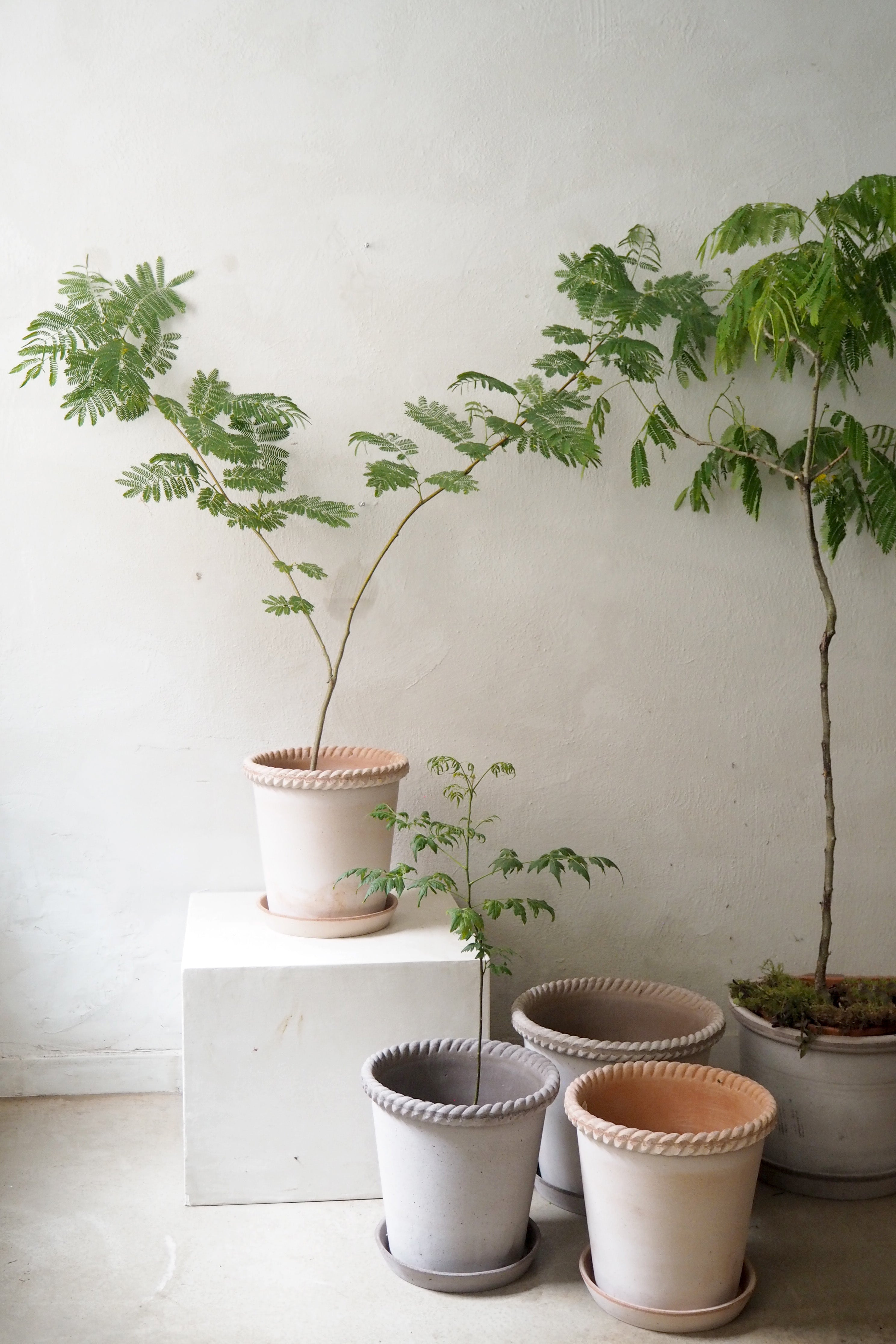 Emilia krukke, raw grey