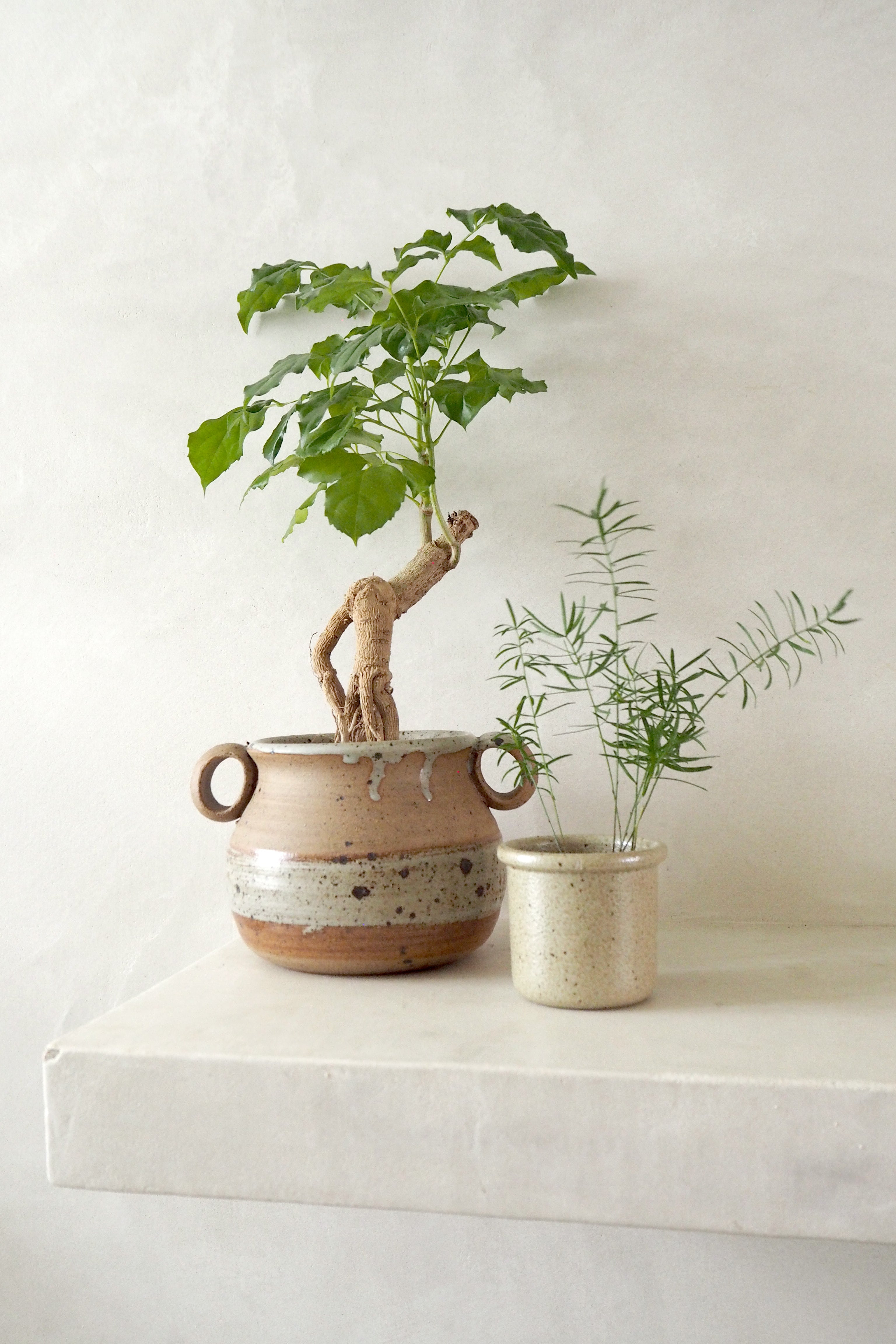 Vintage - Kru krukke