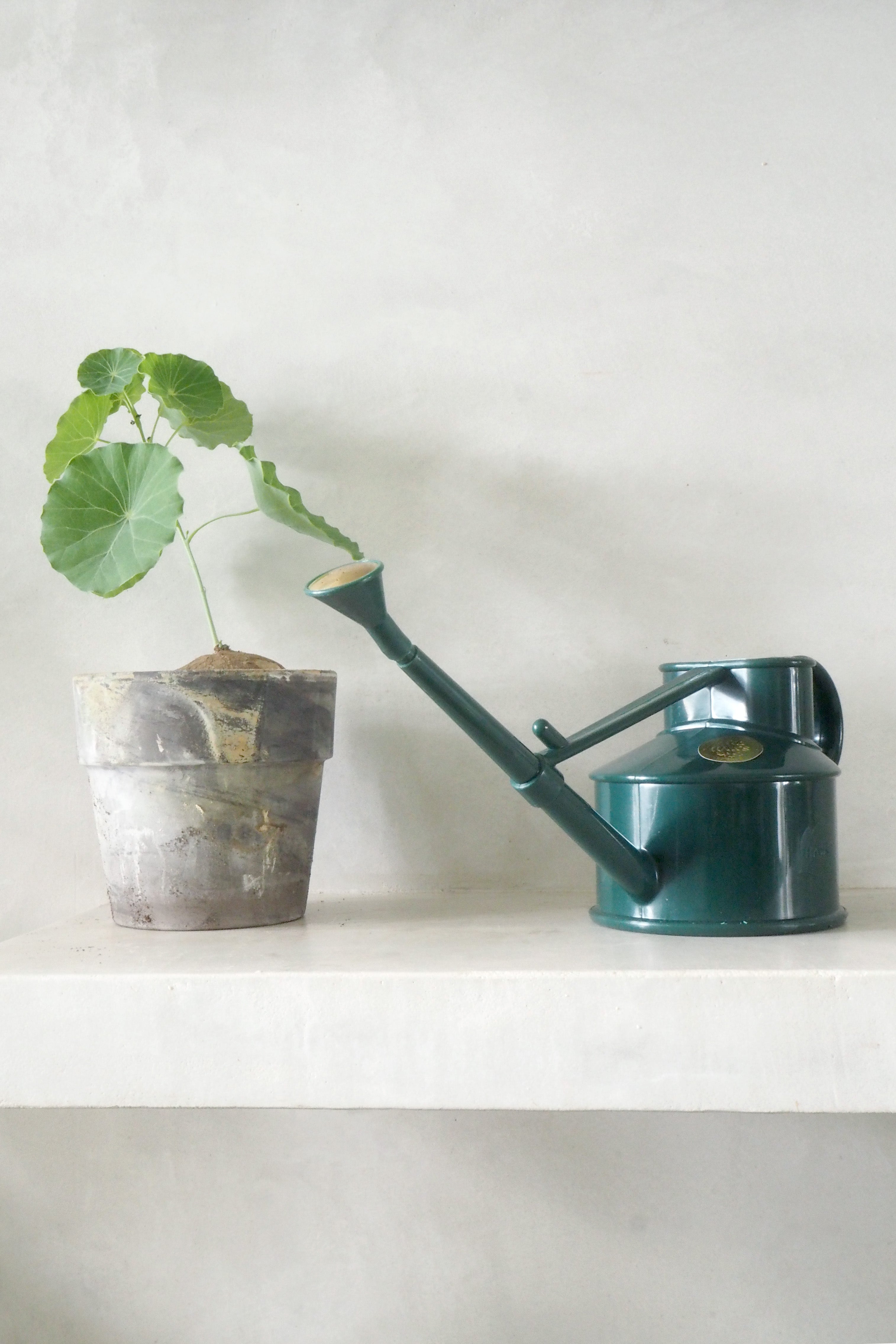 HAWS Vandkande, The Langley Sprinkler, grøn