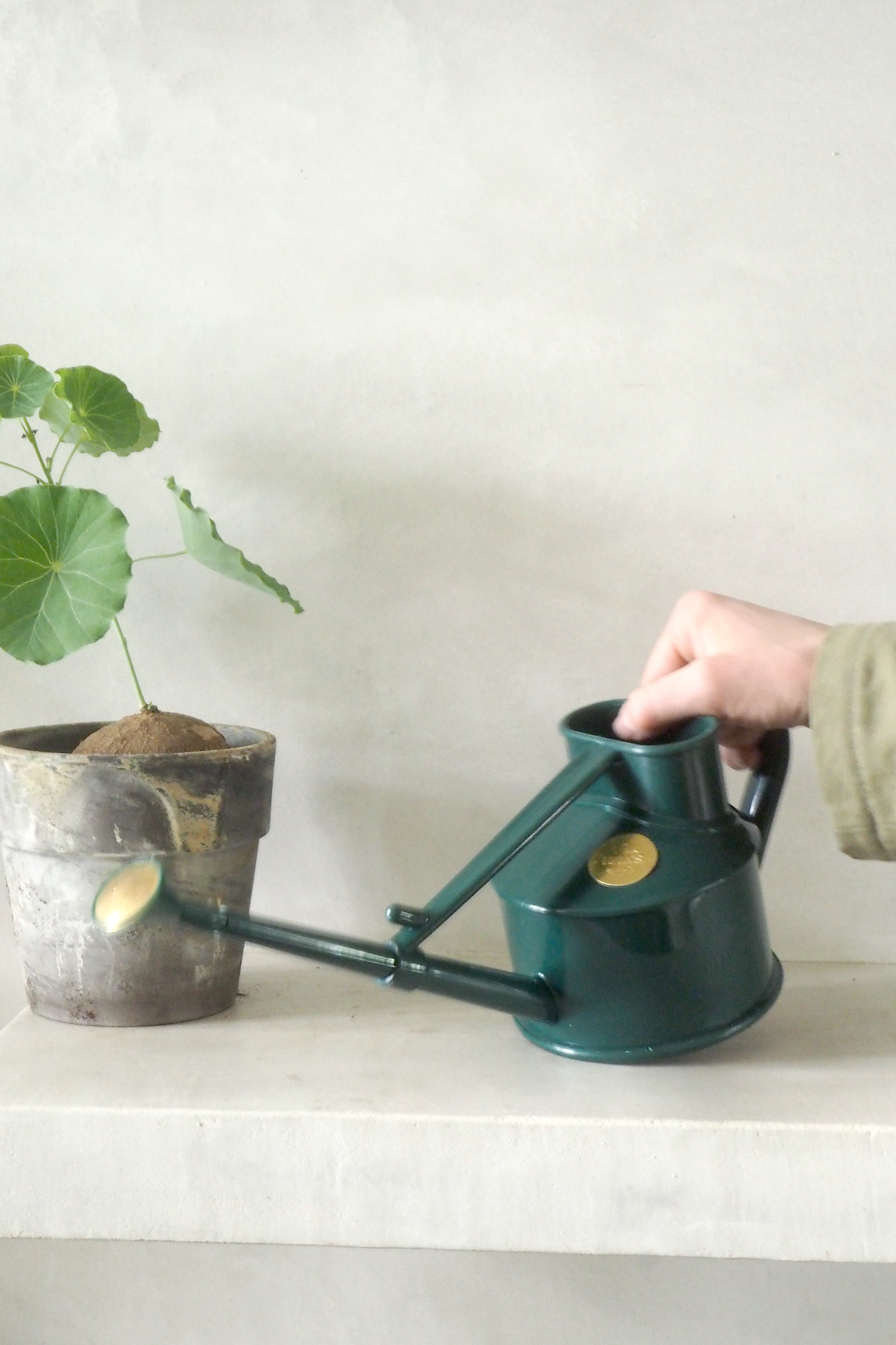 HAWS Vandkande, The Langley Sprinkler, grøn