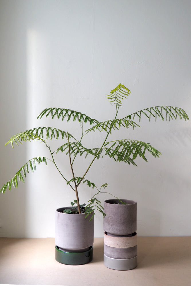 Hoff krukke, raw grey + grøn underskål