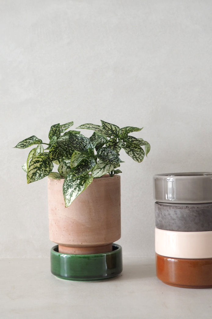 Hoff krukke, raw rosa + grøn underskål, gulvkrukke