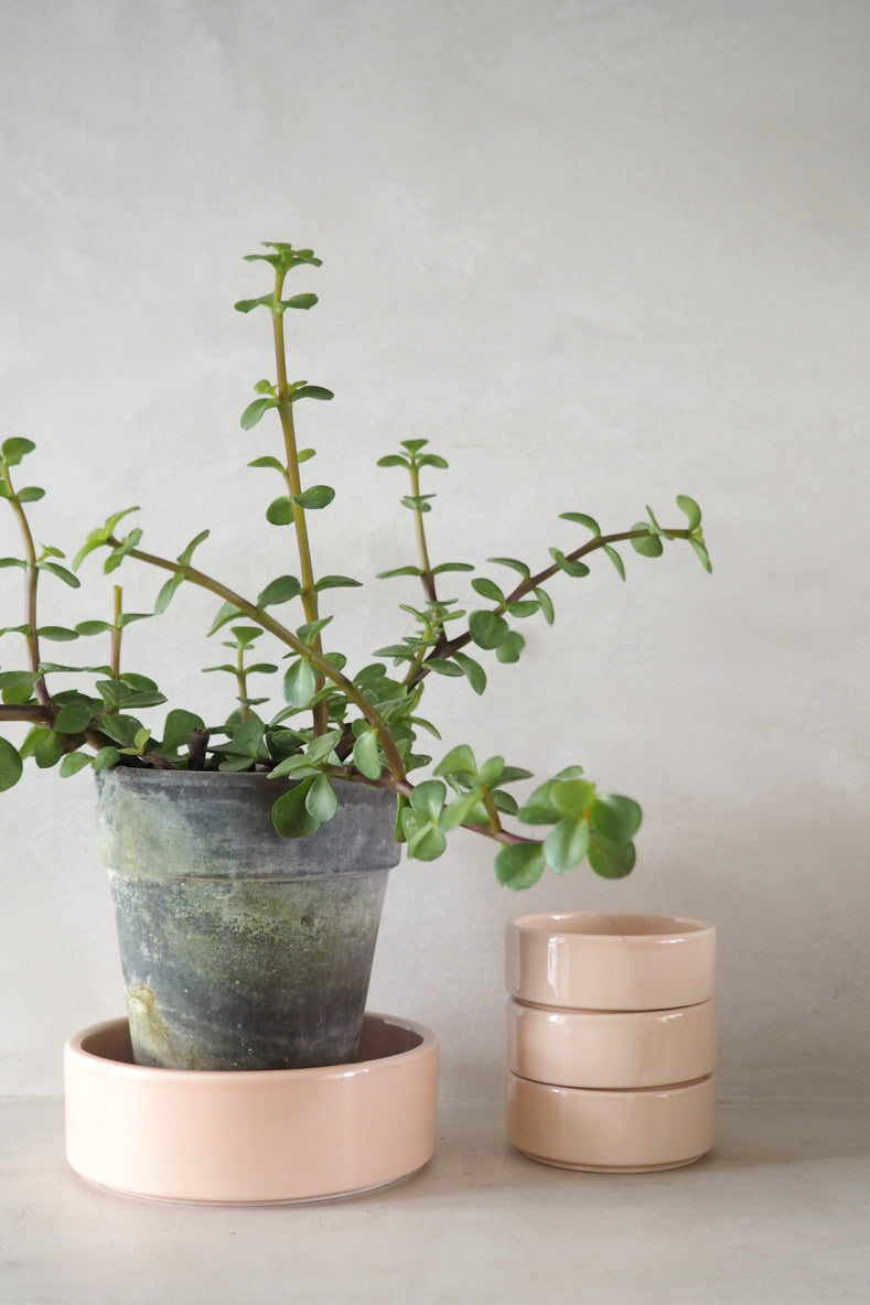 Hoff underskål, glaseret rosa