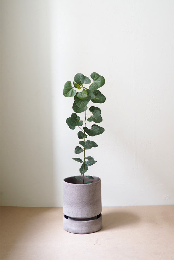 Hoff krukke, raw grey + raw grey underskål