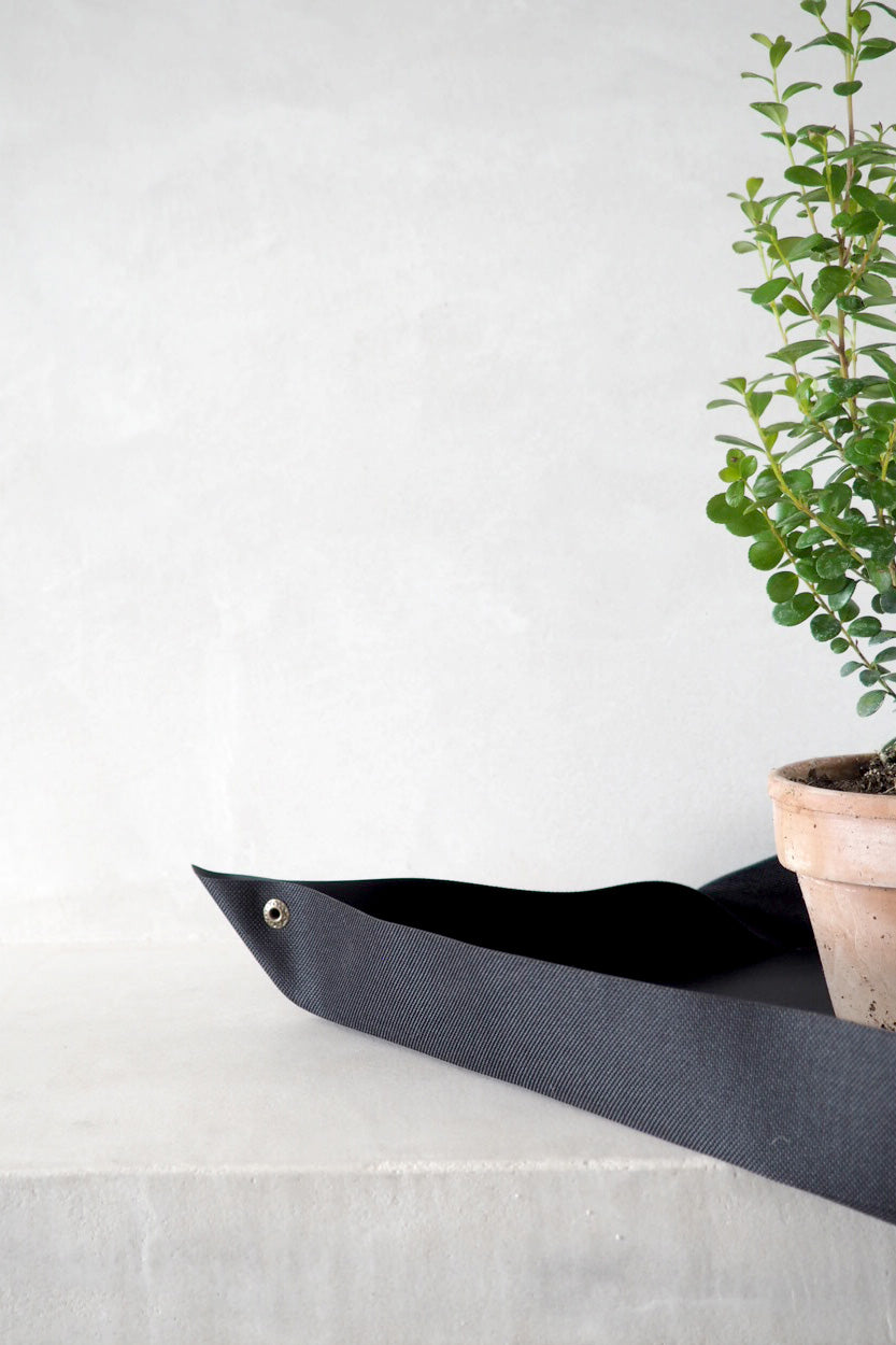 Bundle : Pro omplantning