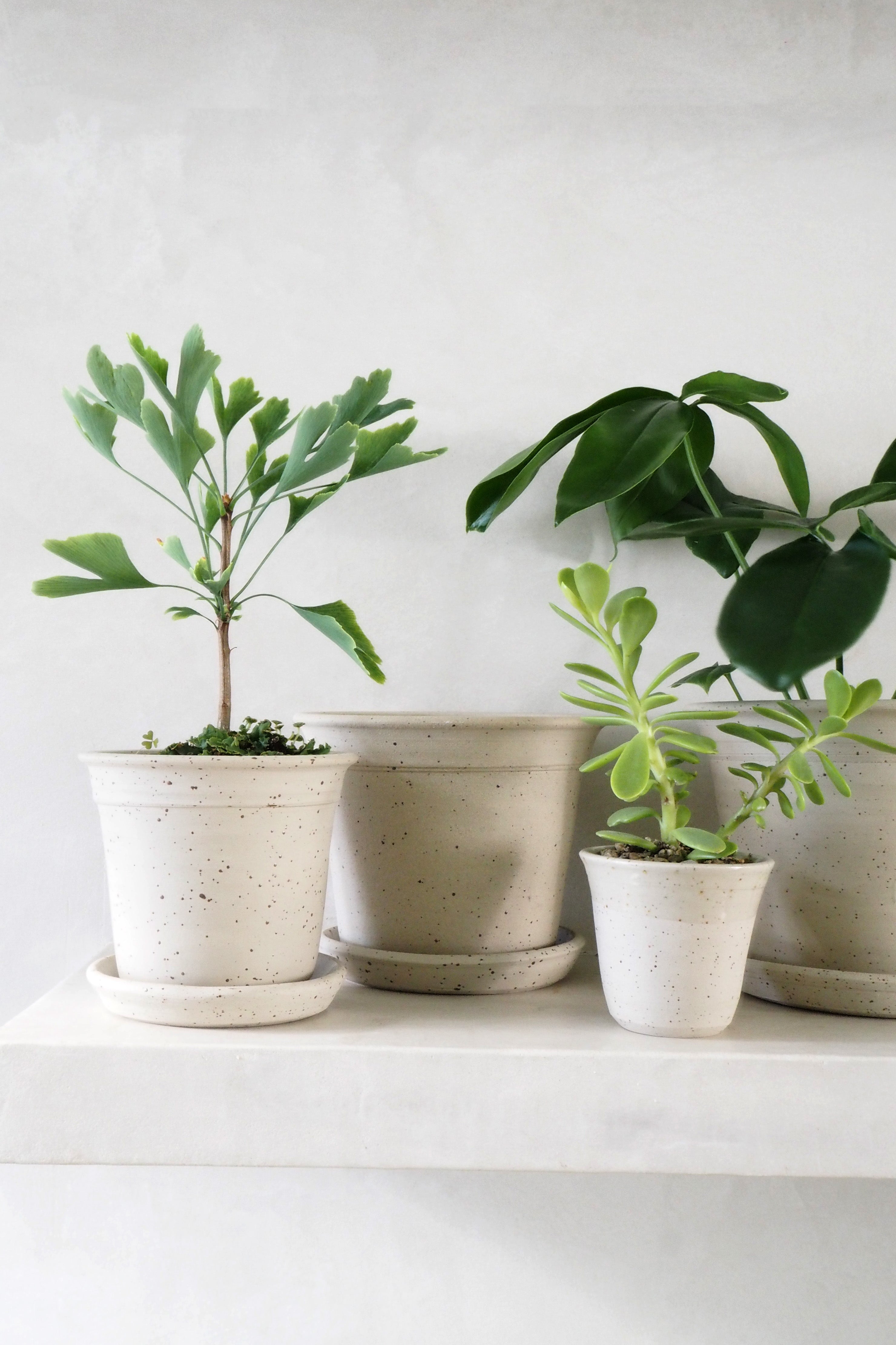 Pottemagerens krukke - medium