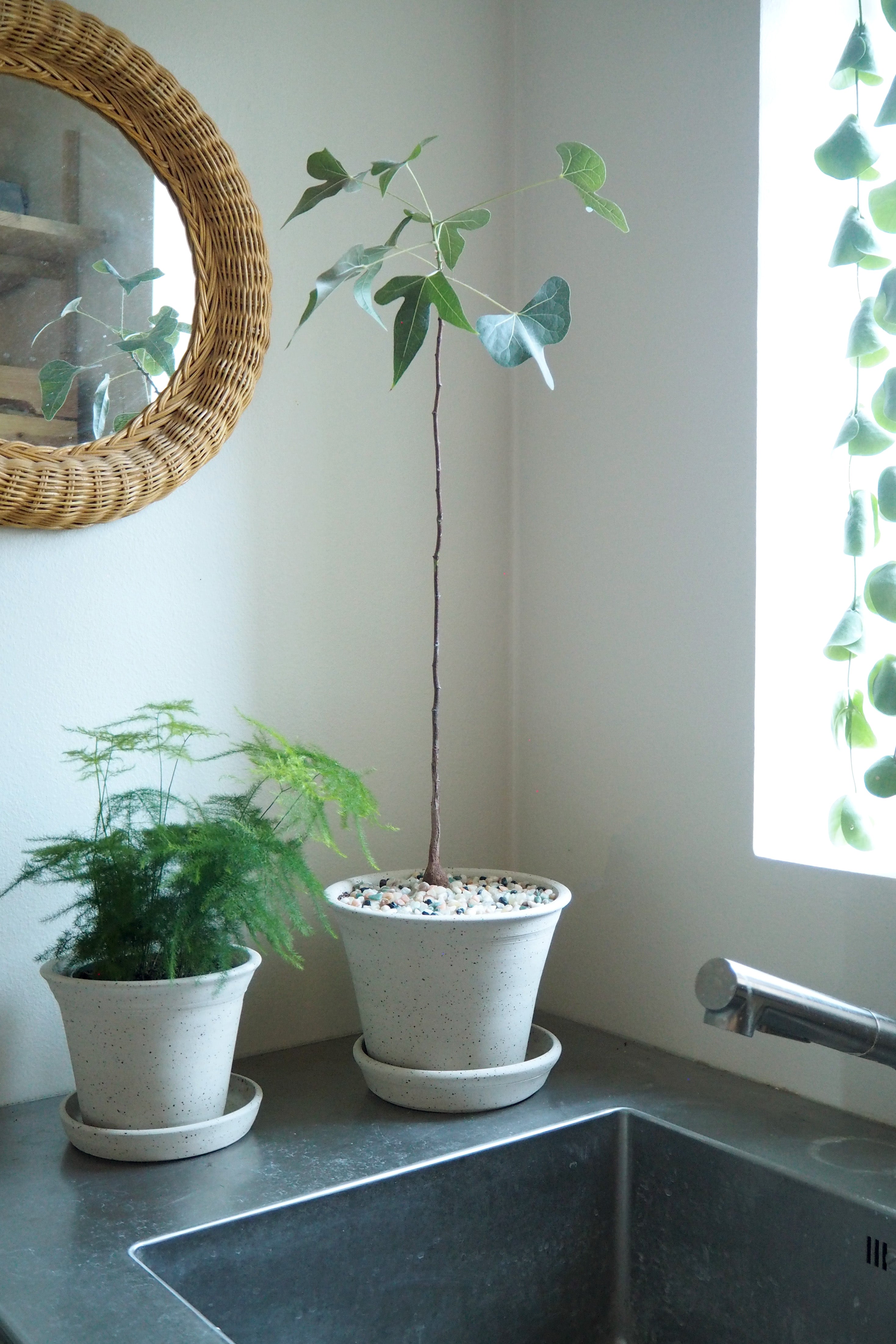 Pottemagerens krukke - medium