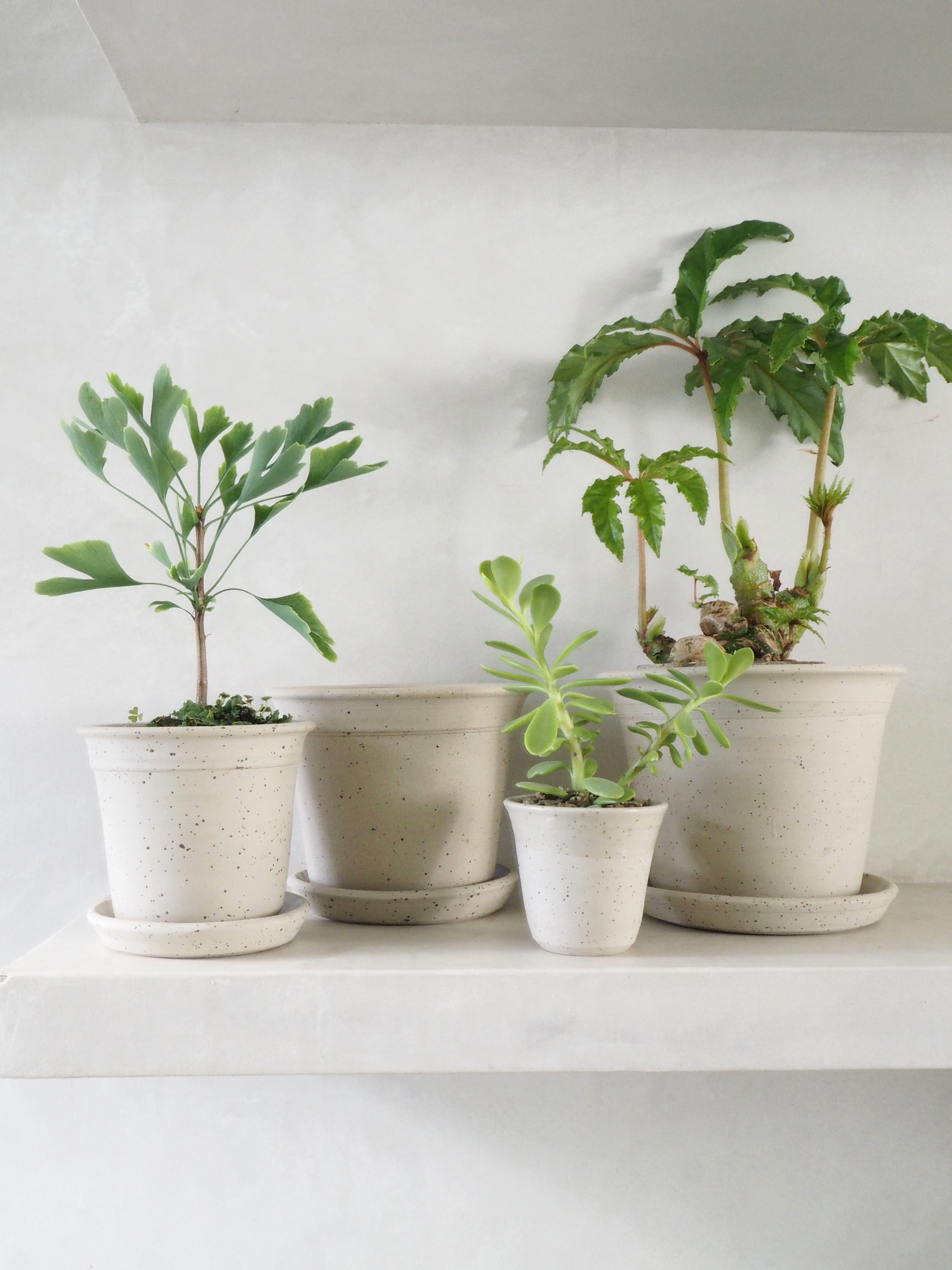 Pottemagerens krukke - medium