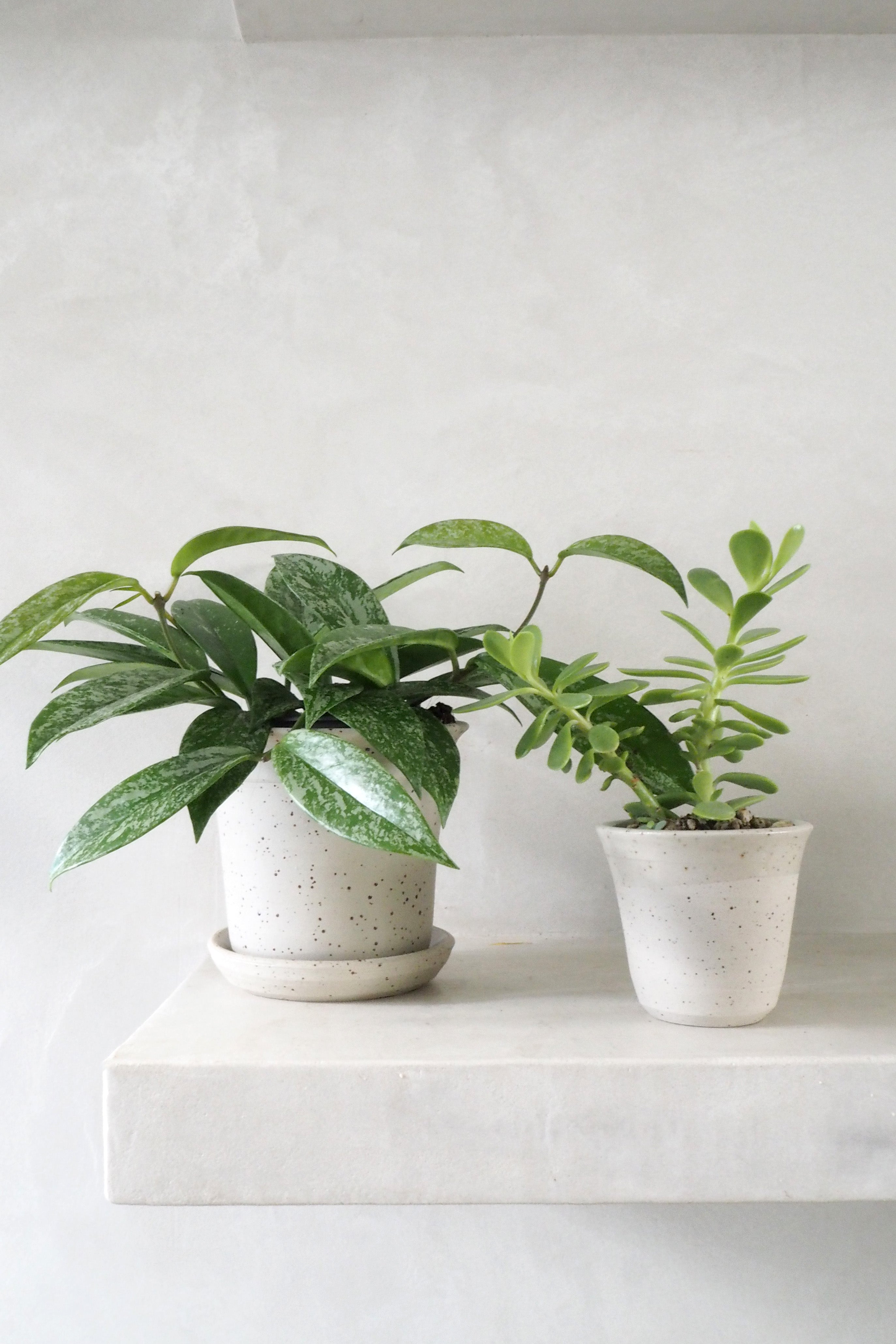 Pottemagerens krukke - medium