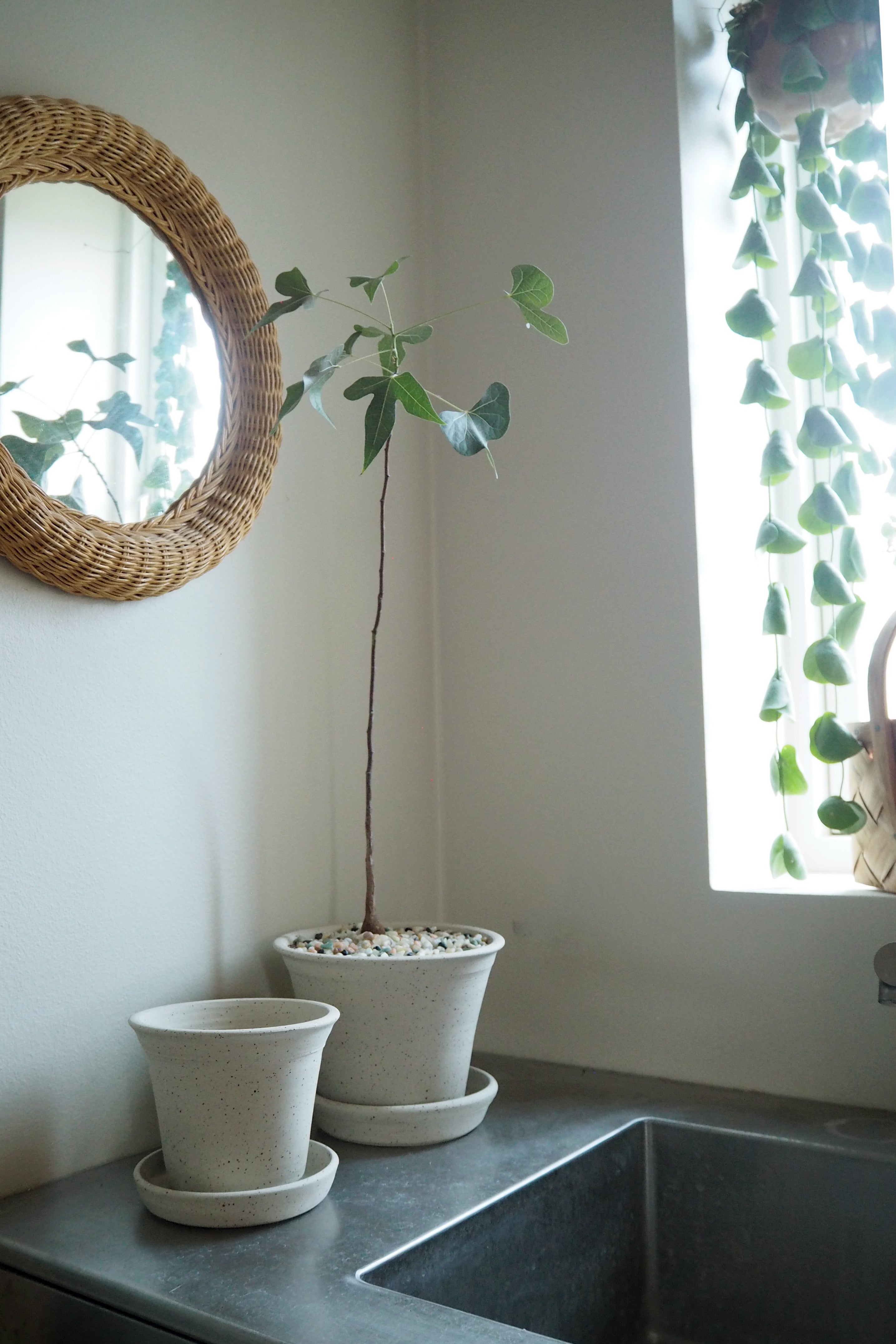 Pottemagerens krukke - medium